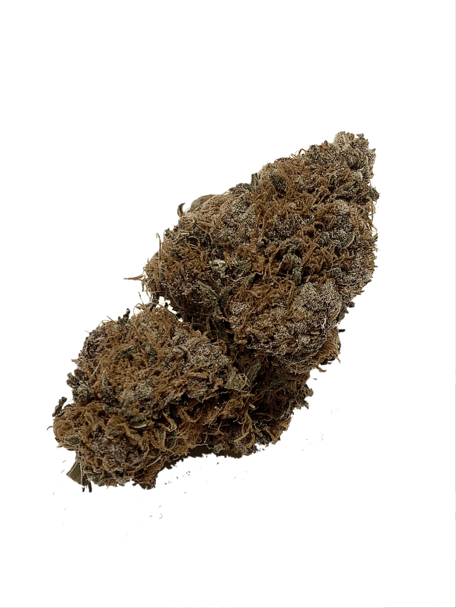 Purple Space Cookies (Oz Special) Hybrid anxiety Purple Space Cookies (Oz Special) Hybrid anxiety