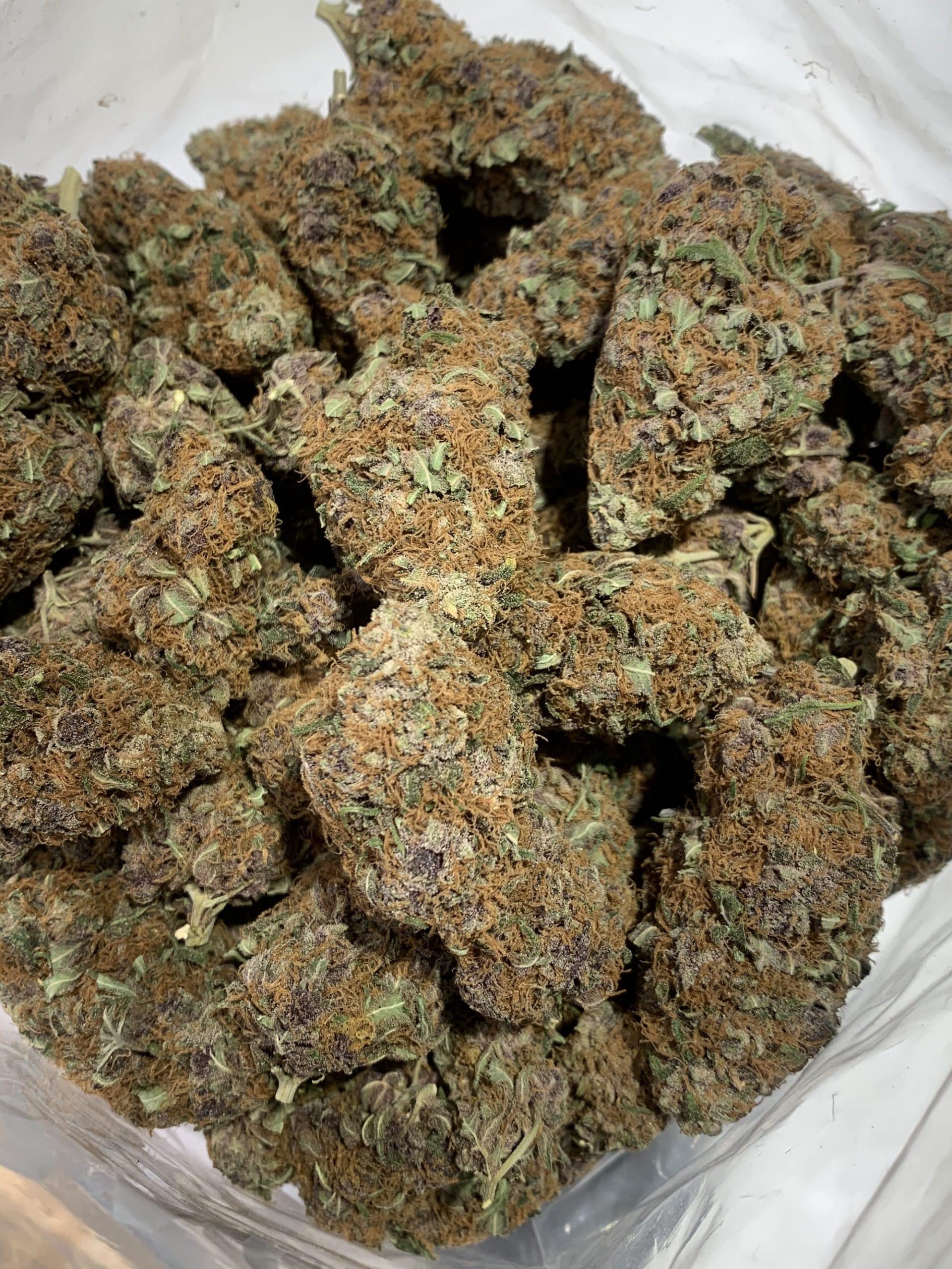 Purple Space Cookies (Oz Special) Hybrid anxiety Purple Space Cookies (Oz Special) Hybrid anxiety