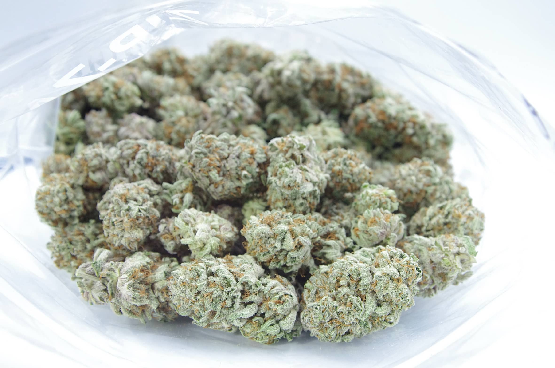 Purple Space Cookies (Oz Special) Hybrid anxiety Purple Space Cookies (Oz Special) Hybrid anxiety