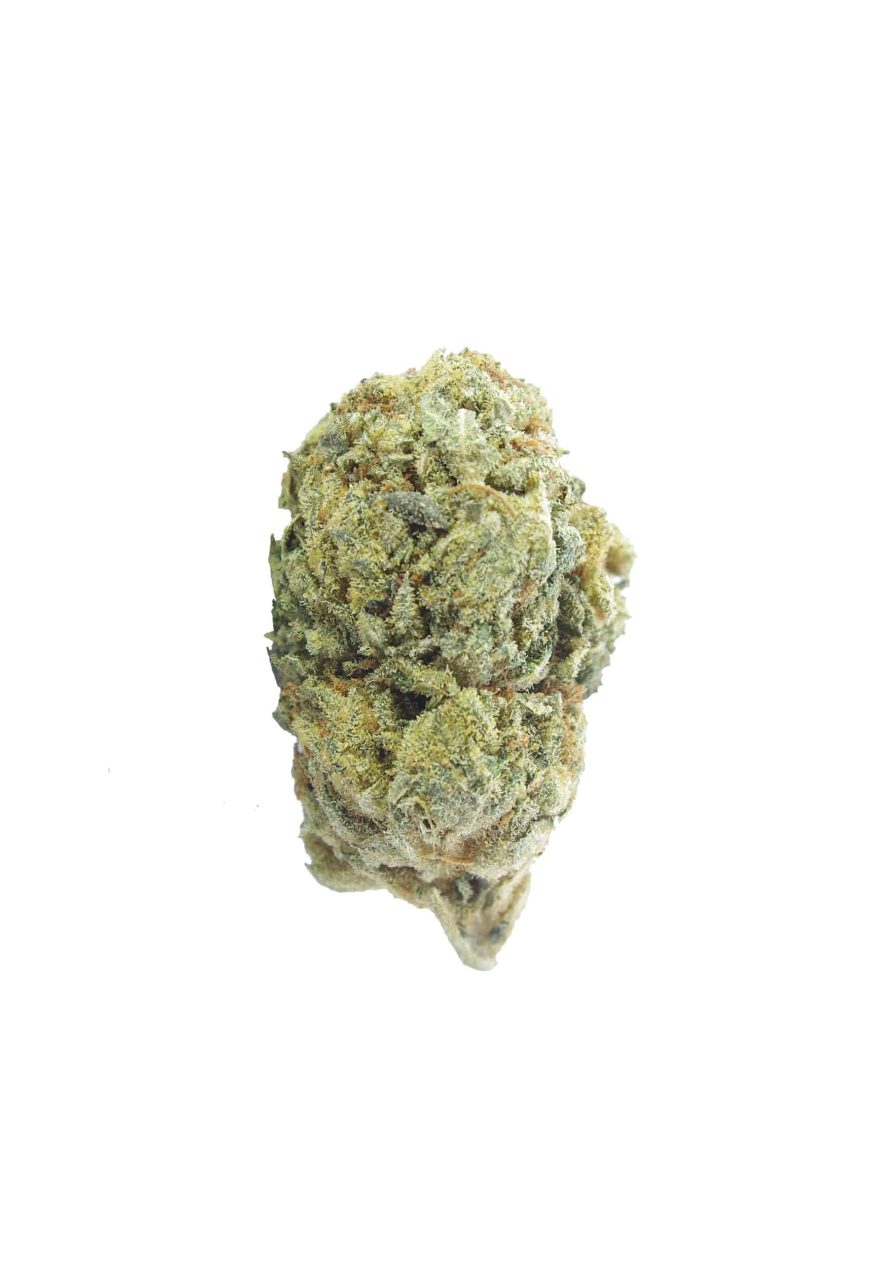 Hash Plant (Oz Special) All Strains anti-anxiety Hash Plant (Oz Special) All Strains anti-anxiety