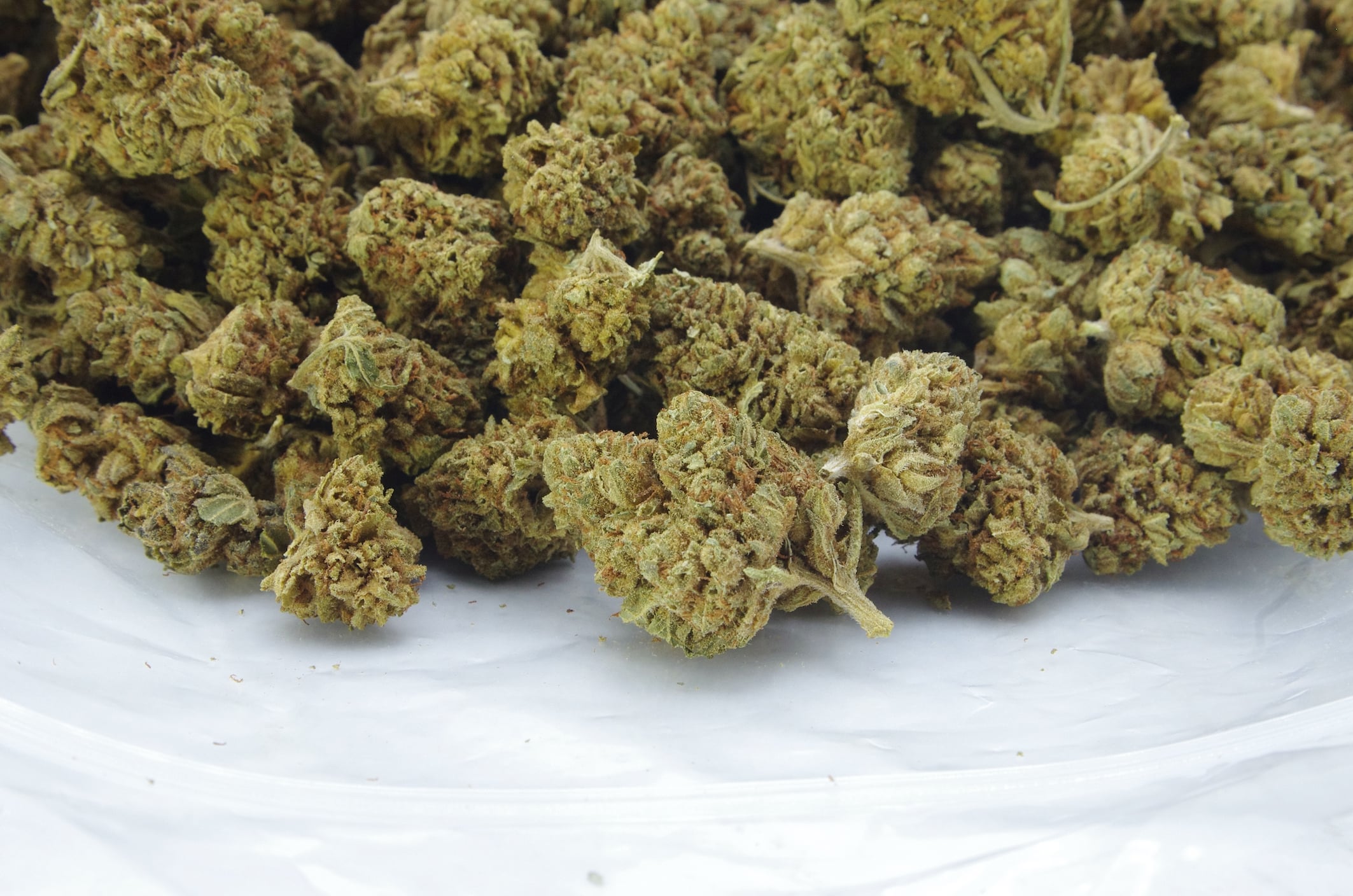 Earth OG (Oz Special) All Strains anti-anxiety Earth OG (Oz Special) All Strains anti-anxiety