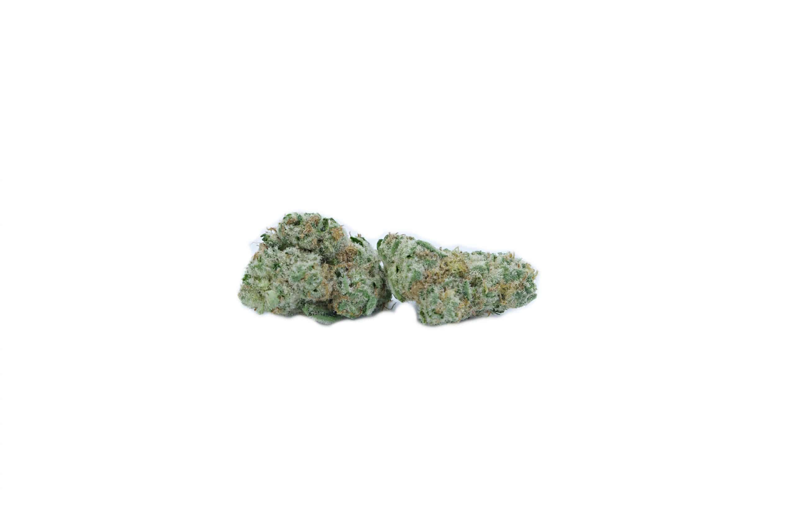 Raspberry Parfait Smalls (Oz Special) Hybrid anxiety Raspberry Parfait Smalls (Oz Special) Hybrid anxiety