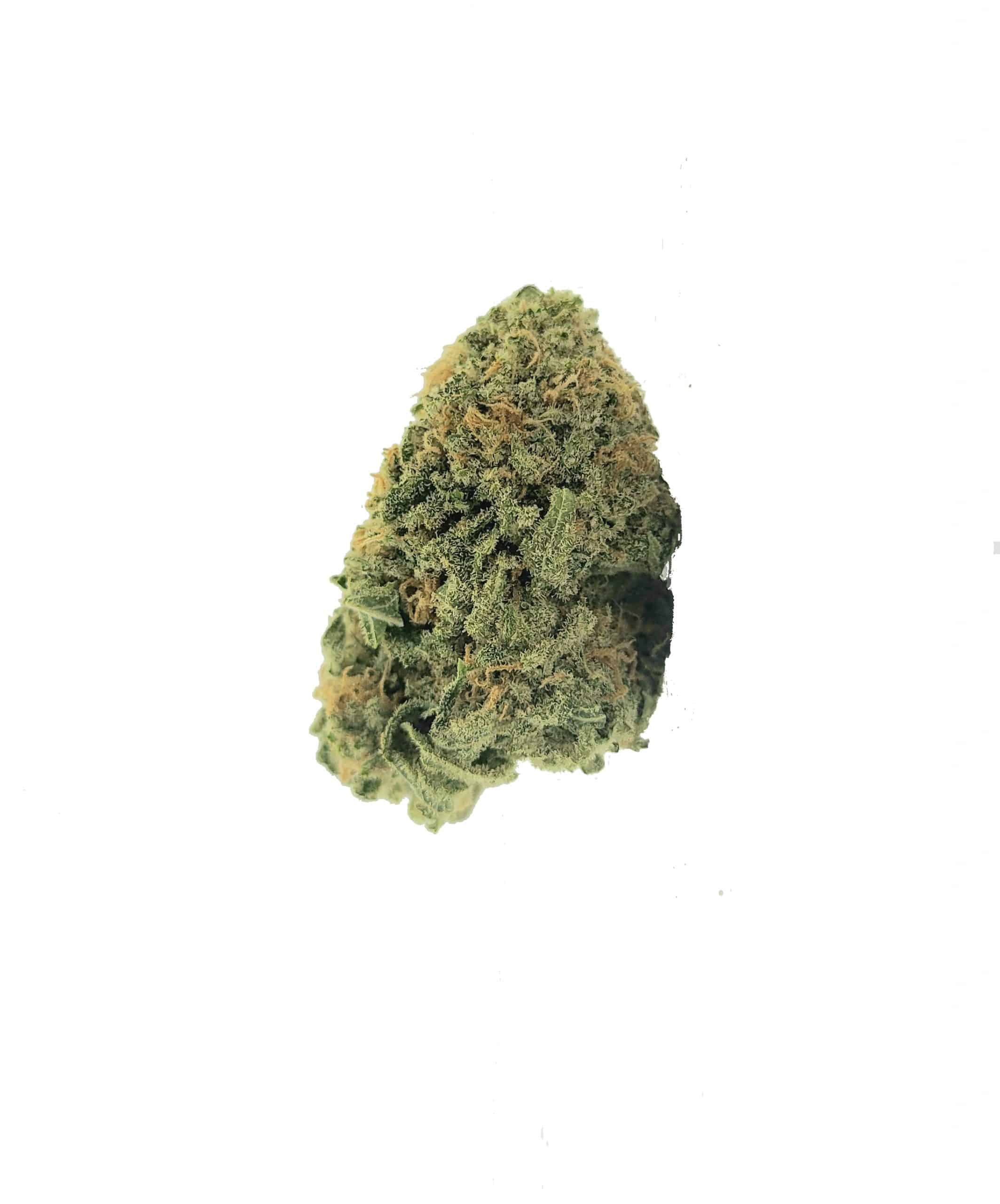 Raspberry Kush (Oz Special) Hybrid anxiety Raspberry Kush (Oz Special) Hybrid anxiety