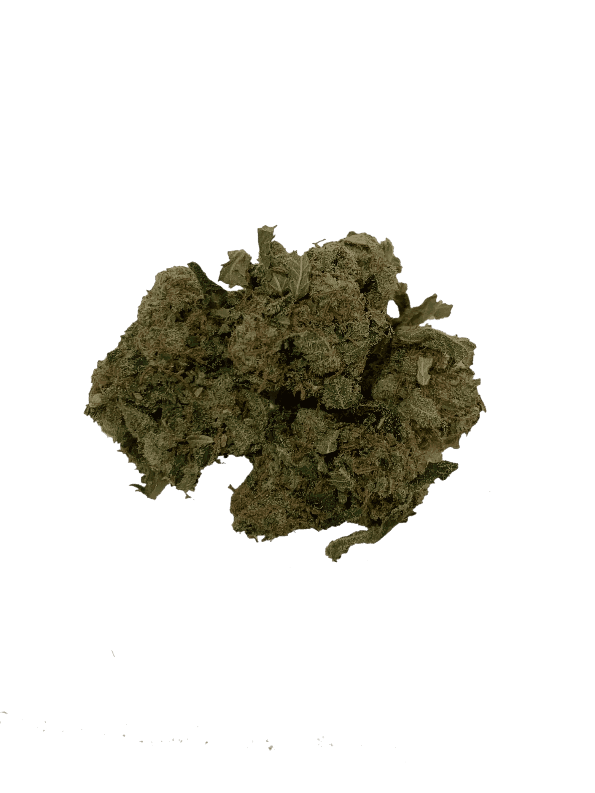 Red Congolese Small Buds All Strains anxiety Red Congolese Small Buds All Strains anxiety