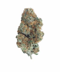 buy red congo online
