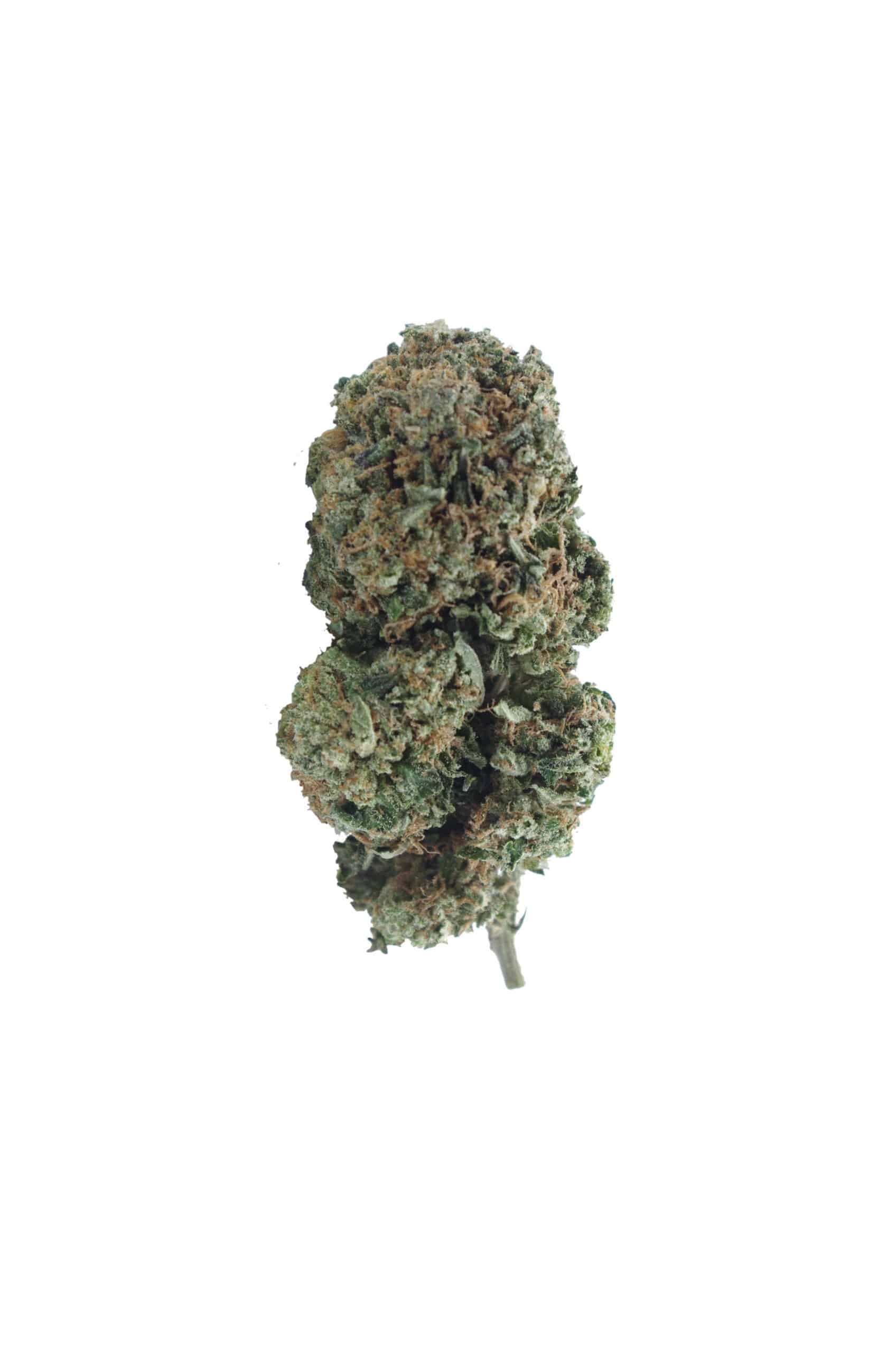 Rock Tuna (3.5G) All Strains anti-anxiety Rock Tuna (3.5G) All Strains anti-anxiety