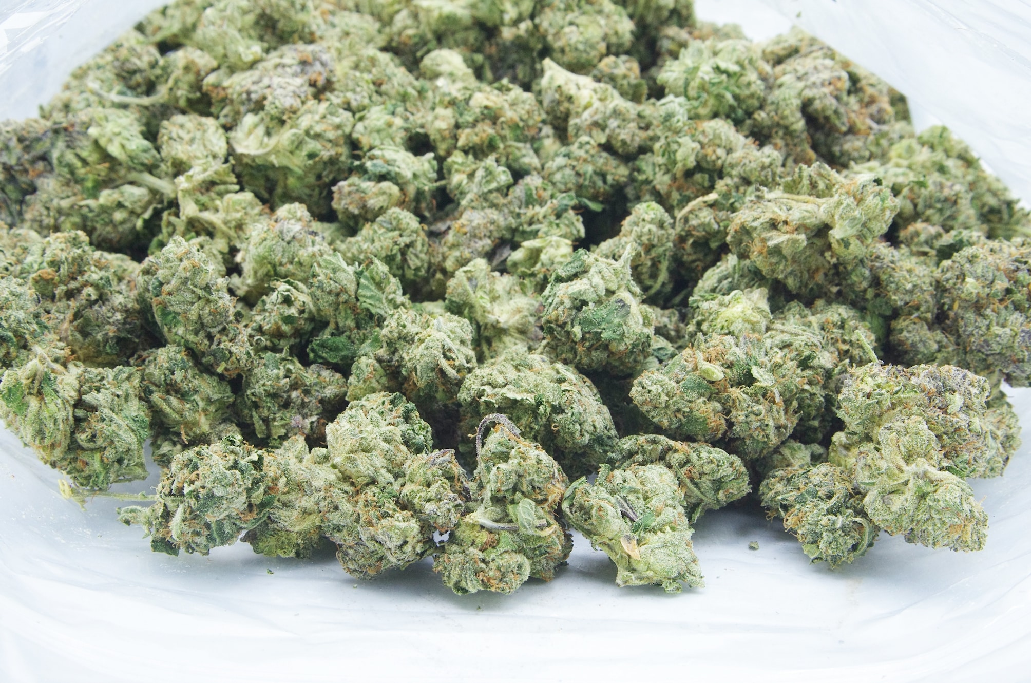 Rockstar Kush (Oz Special) Indica anxiety Rockstar Kush (Oz Special) Indica anxiety