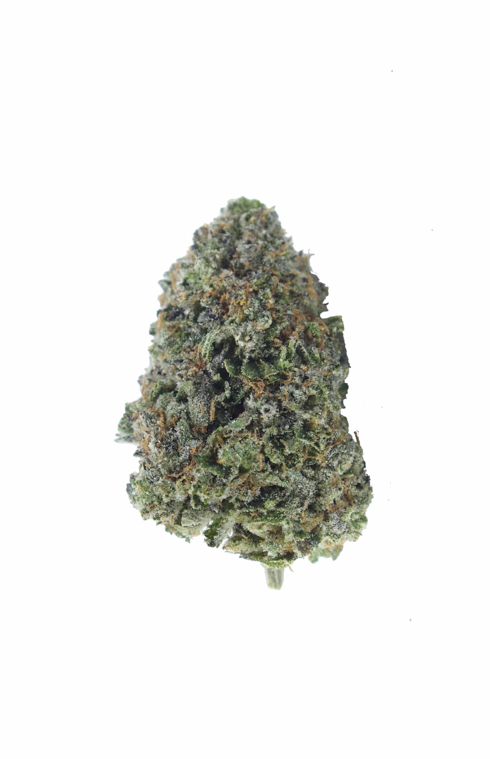 Rockstar (Oz Special) All Strains anti-anxiety Rockstar (Oz Special) All Strains anti-anxiety