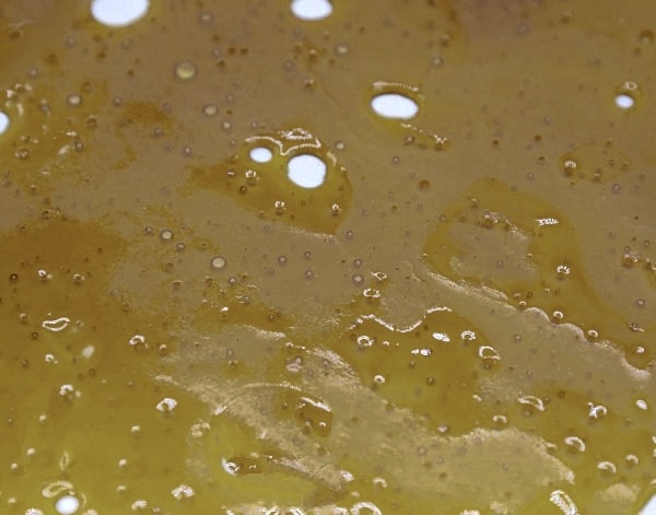 Shark Tooth Shatter Concentrates Shark Tooth Shatter Concentrates