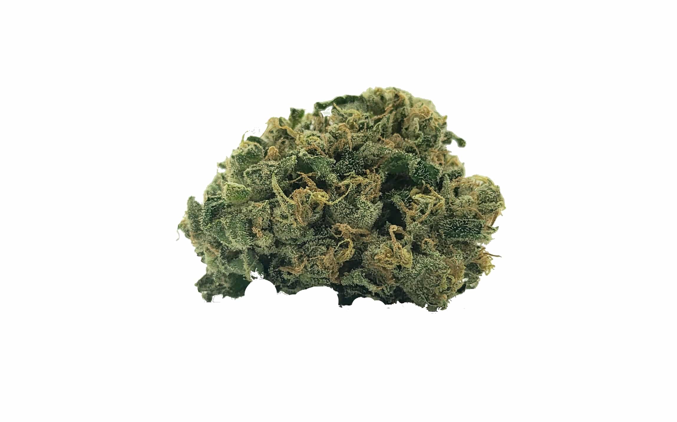 Blue Dream (Oz Special) Hybrid anxiety Blue Dream (Oz Special) Hybrid anxiety