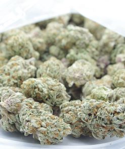 buy slurricane online