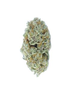buy slurricane online