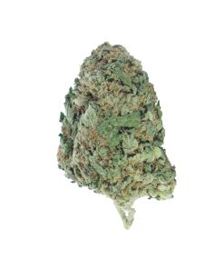 buy sour cake online