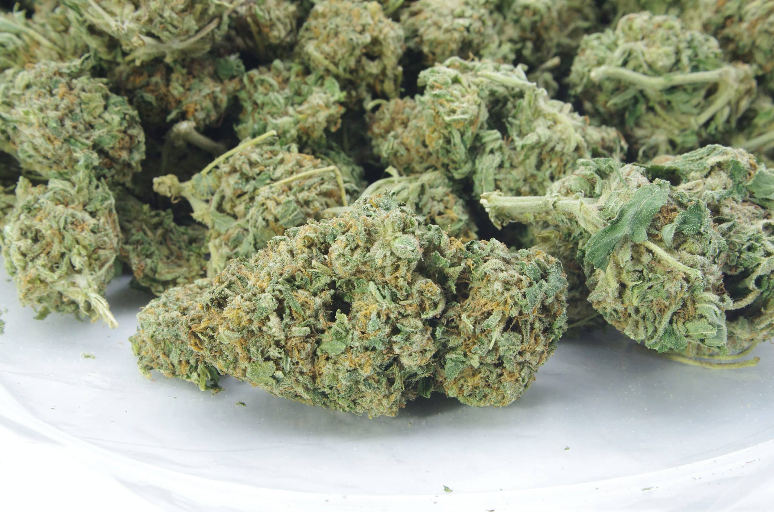 Sour Cake (Oz Special) All Strains anti-anxiety Sour Cake (Oz Special) All Strains anti-anxiety
