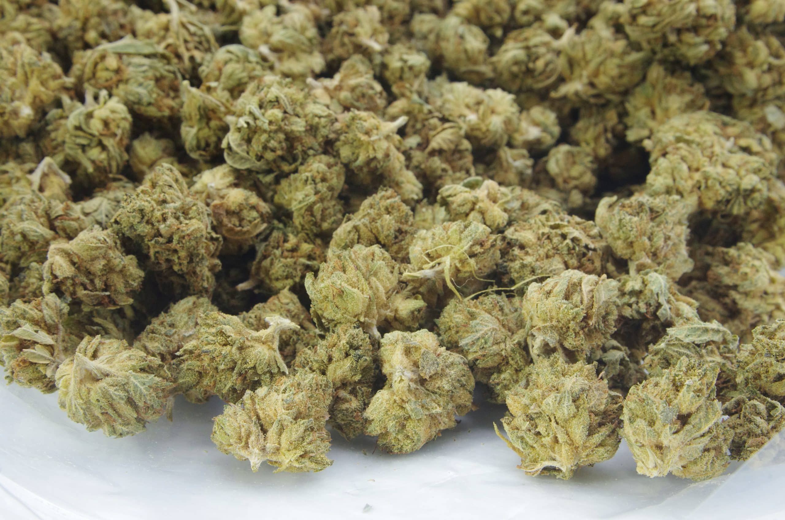 Trainwreck Smalls (Oz Special) Indica anti-anxiety Trainwreck Smalls (Oz Special) Indica anti-anxiety