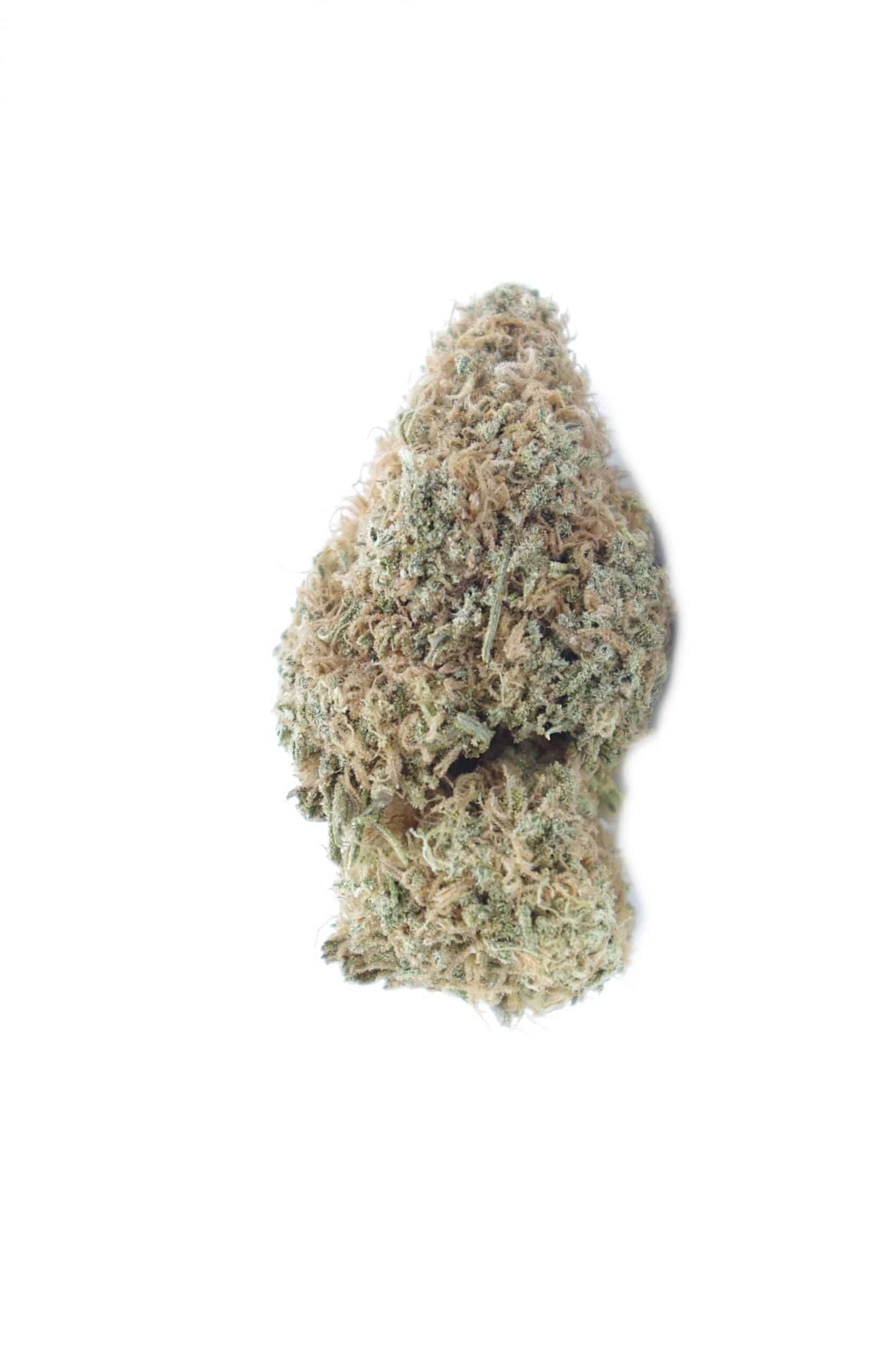 Strawberry (Oz Special) Hybrid anti-anxiety Strawberry (Oz Special) Hybrid anti-anxiety