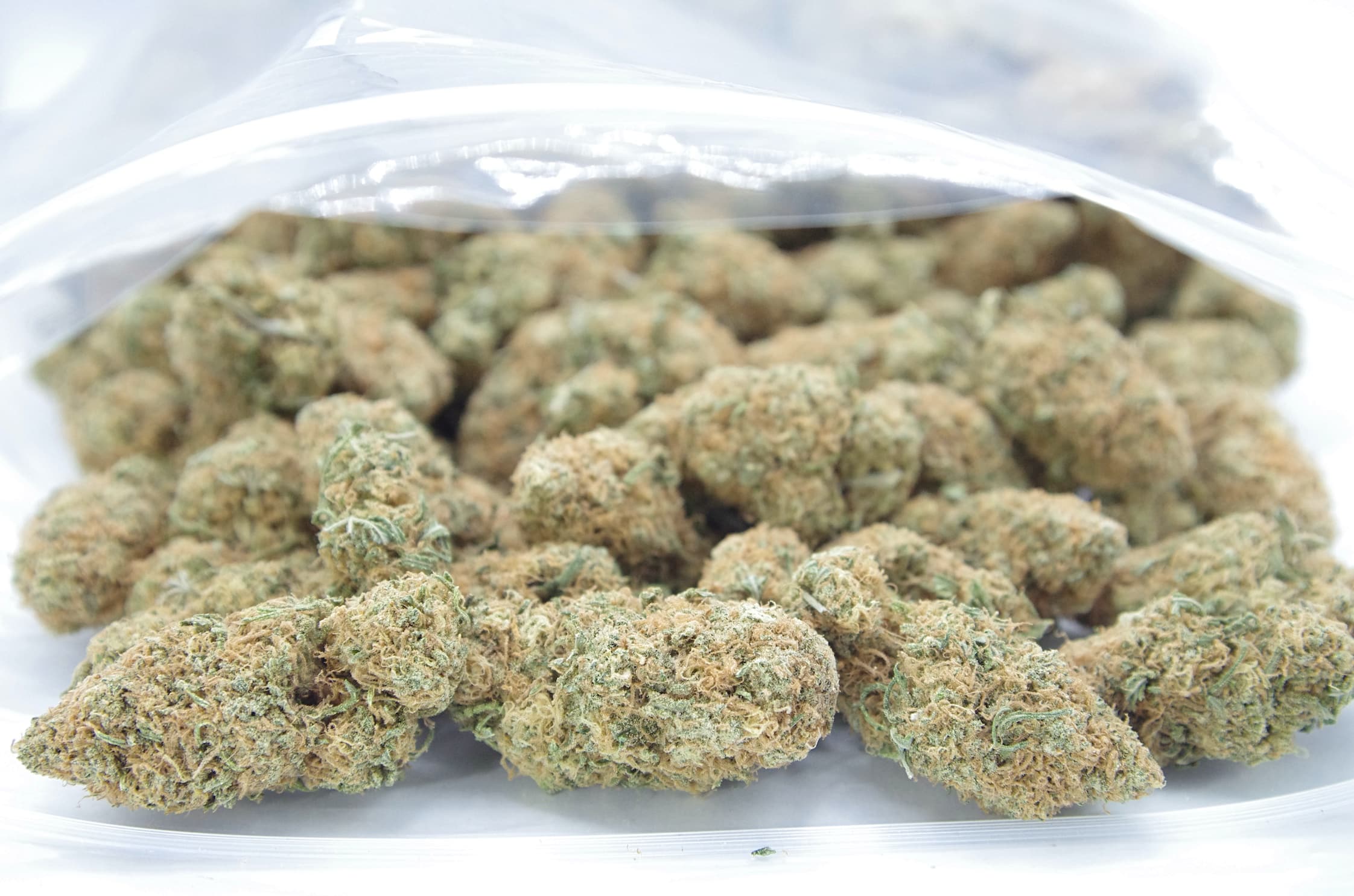 Strawberry (Oz Special) Hybrid anti-anxiety Strawberry (Oz Special) Hybrid anti-anxiety