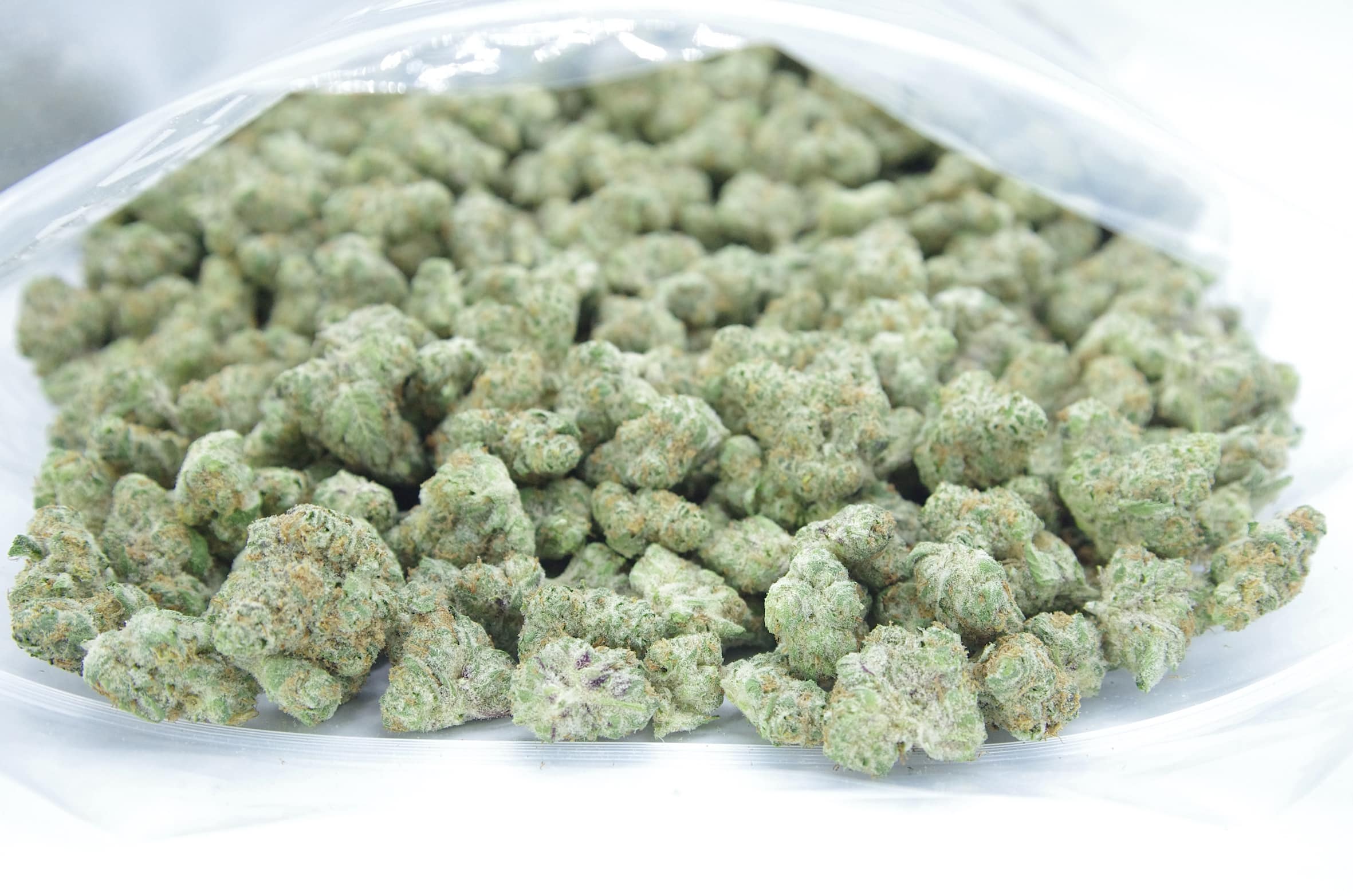 Sundae Driver (Oz Special) Hybrid anti-anxiety Sundae Driver (Oz Special) Hybrid anti-anxiety