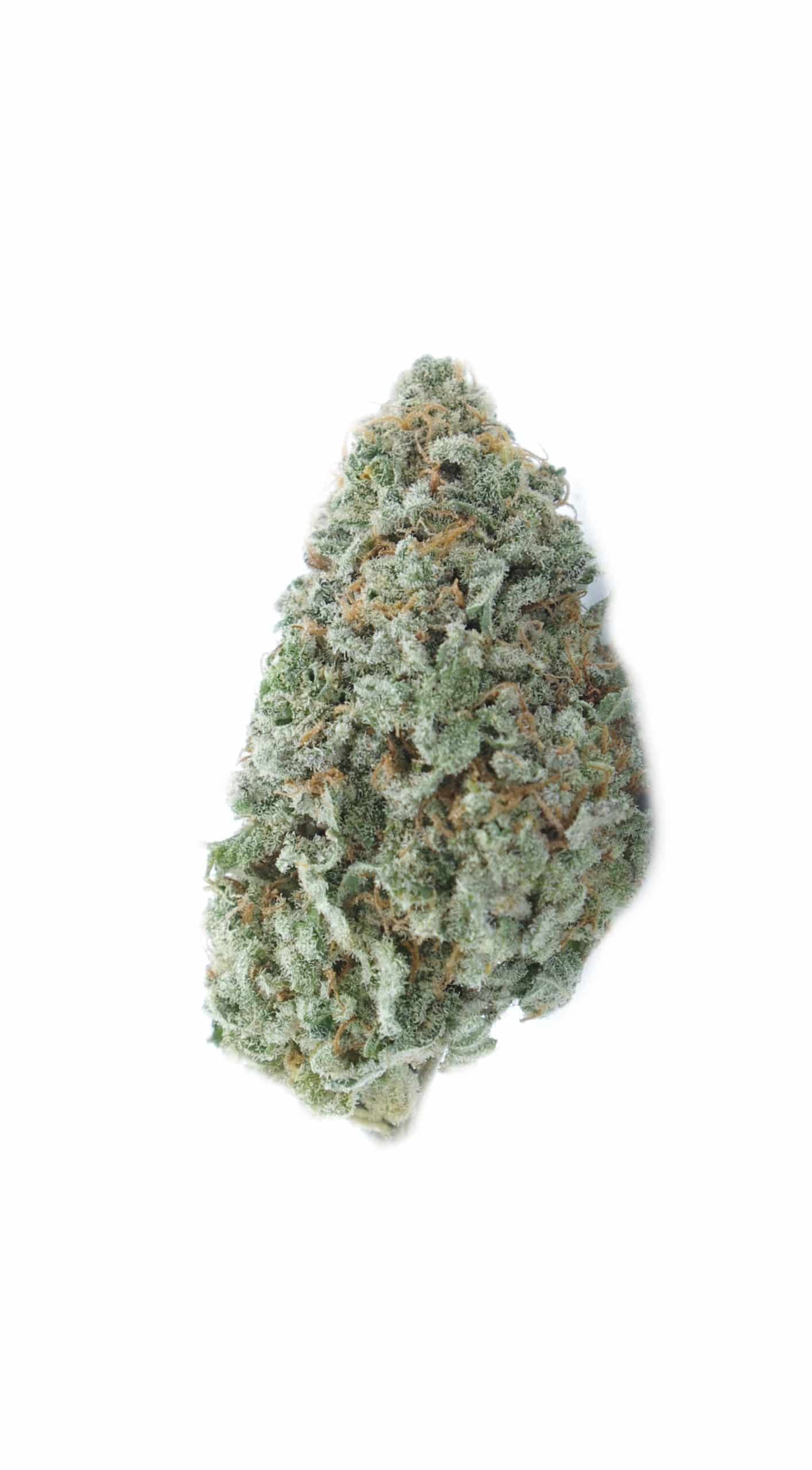 Super Pink (Oz Special) Indica anxiety Super Pink (Oz Special) Indica anxiety