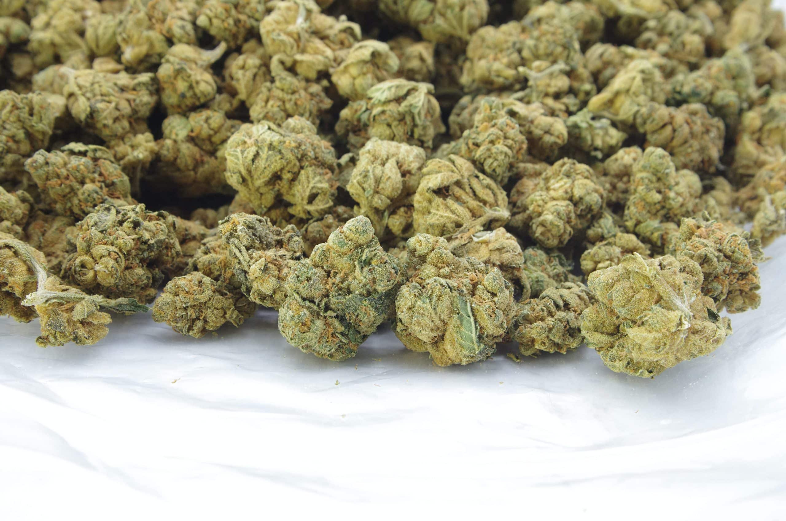 White Widow (Oz Special) All Strains anti-anxiety White Widow (Oz Special) All Strains anti-anxiety