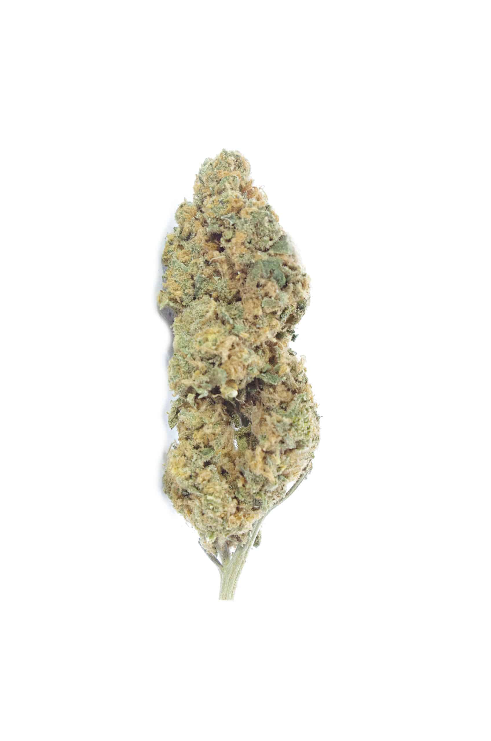 Tangie All Strains anti-anxiety Tangie All Strains anti-anxiety