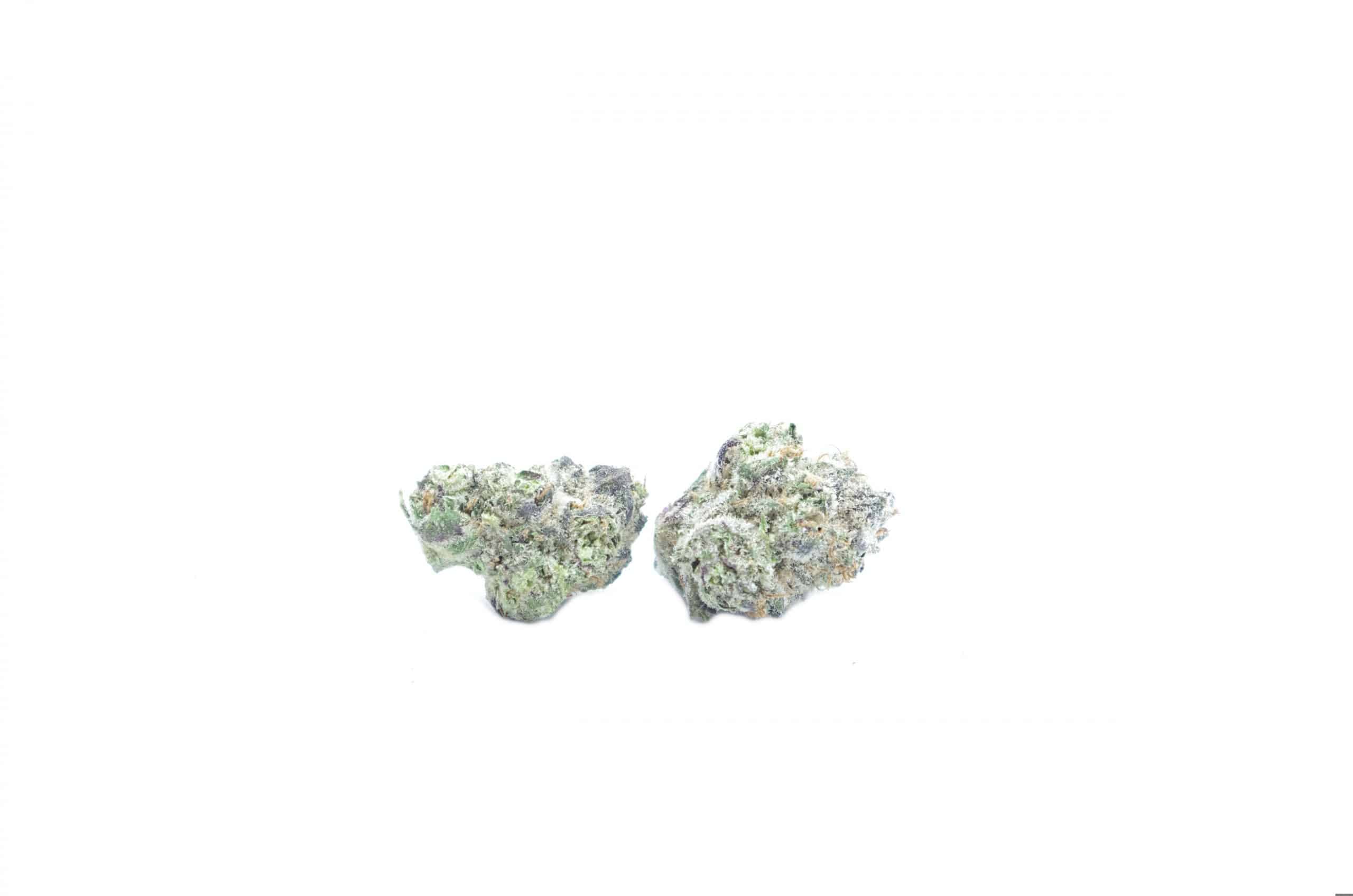 Tangieland (Oz Special) Hybrid anti-anxiety Tangieland (Oz Special) Hybrid anti-anxiety