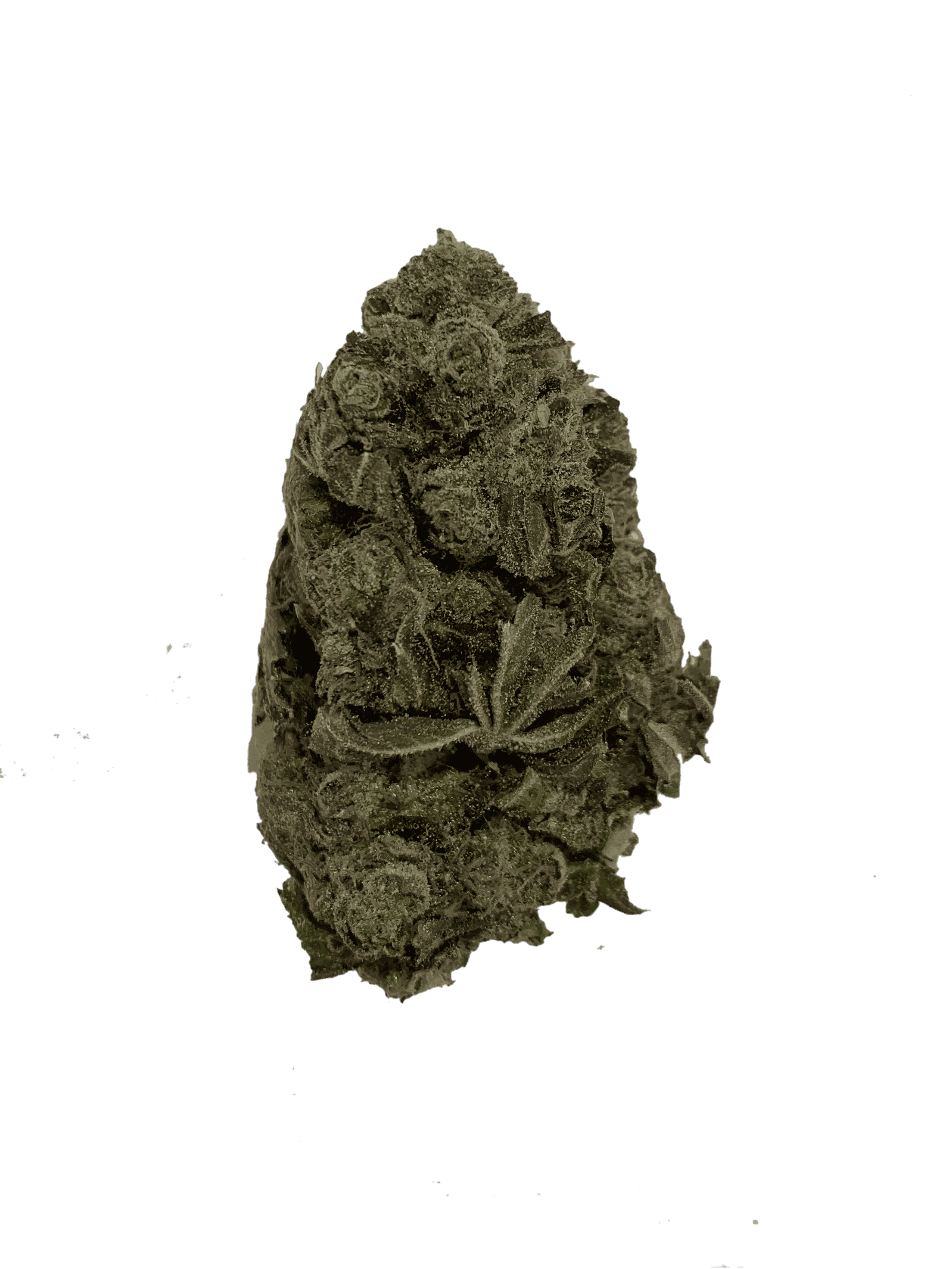 Skywalker OG (OZ special) All Strains Skywalker OG (OZ special) All Strains
