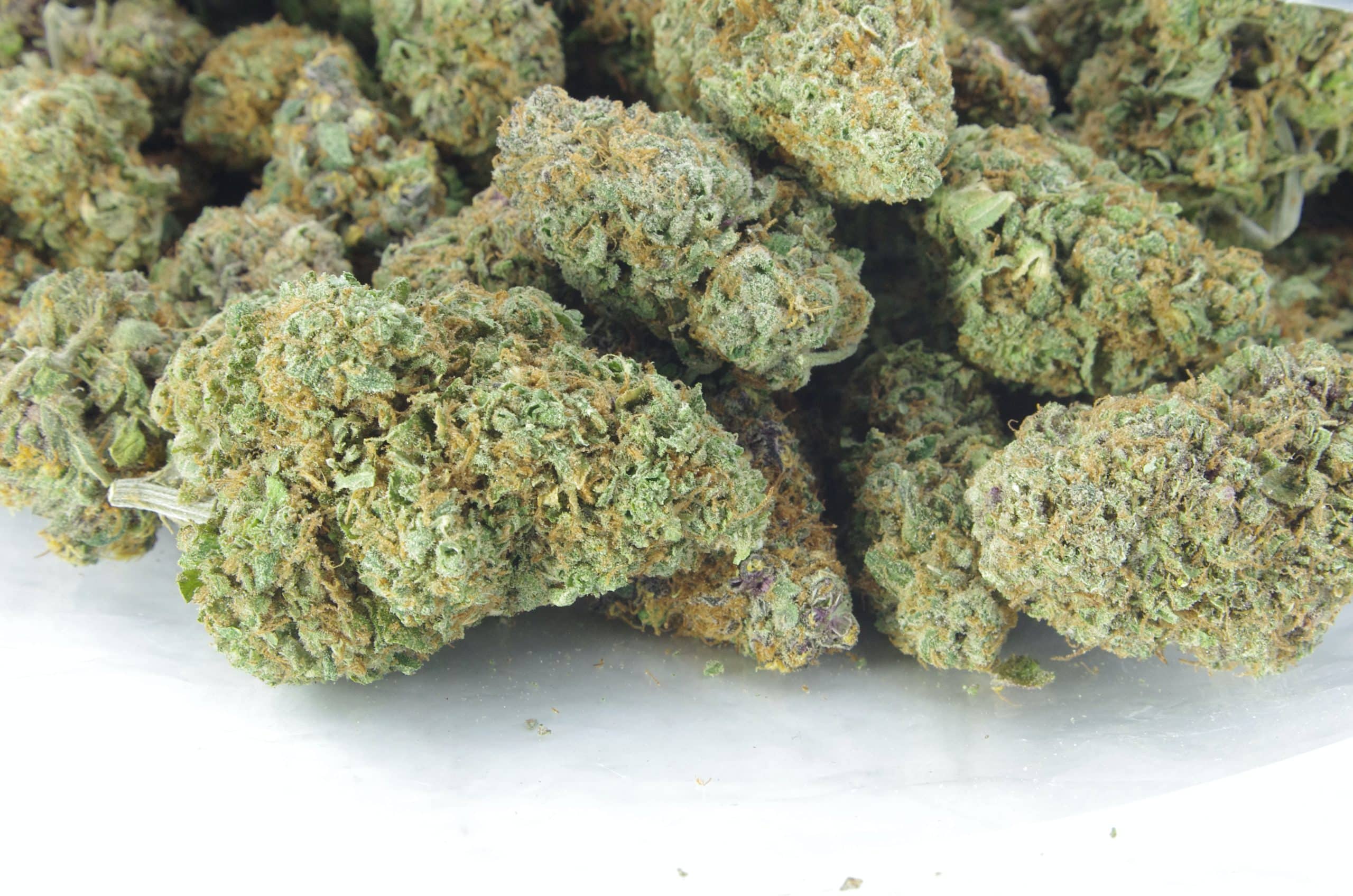Trainwreck (Oz Special) Hybrid anti-anxiety Trainwreck (Oz Special) Hybrid anti-anxiety