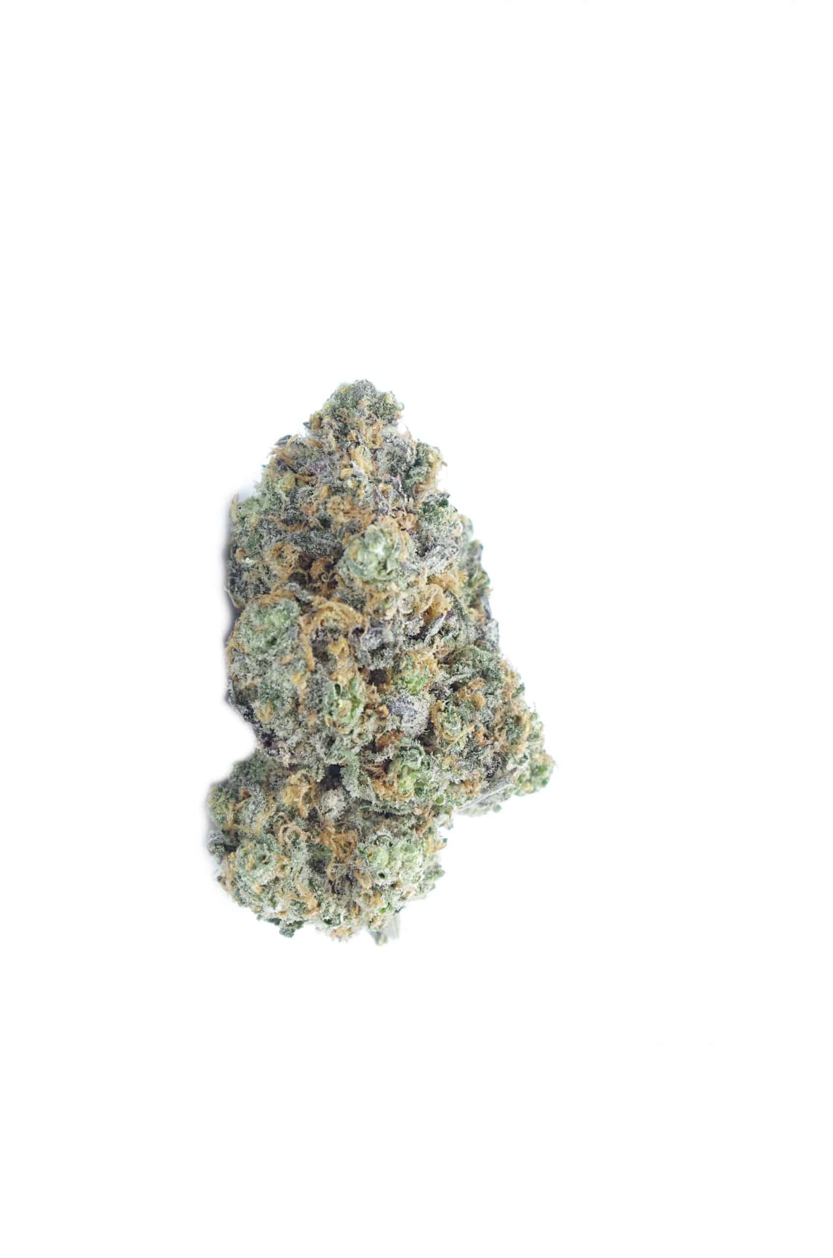 Tropic Truffle All Strains anti-anxiety Tropic Truffle All Strains anti-anxiety