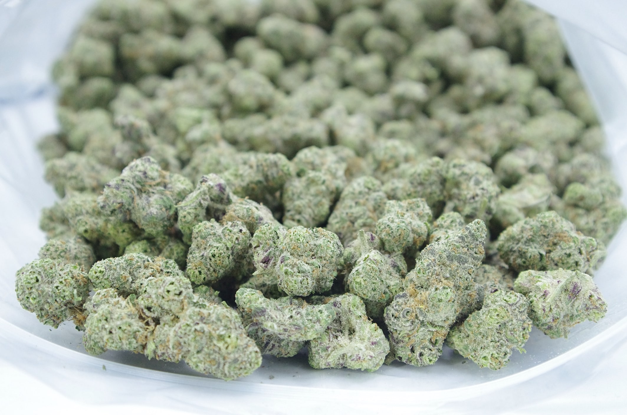 Tropicanna Punch (Oz Special) Hybrid anti-anxiety Tropicanna Punch (Oz Special) Hybrid anti-anxiety