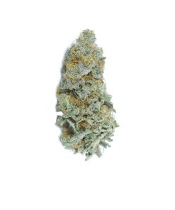 buy truffletini online