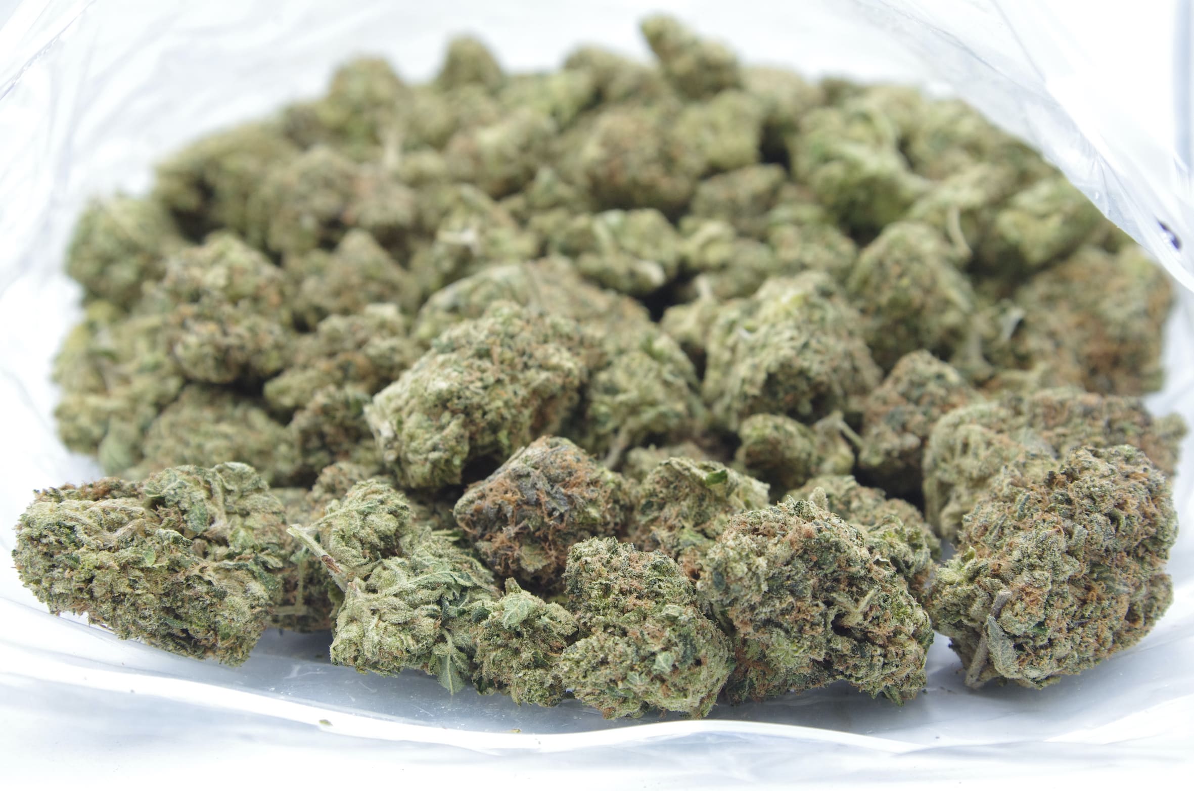 Tuna Kush (Oz Special) Indica anti-anxiety Tuna Kush (Oz Special) Indica anti-anxiety