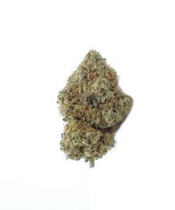 buy violator bud