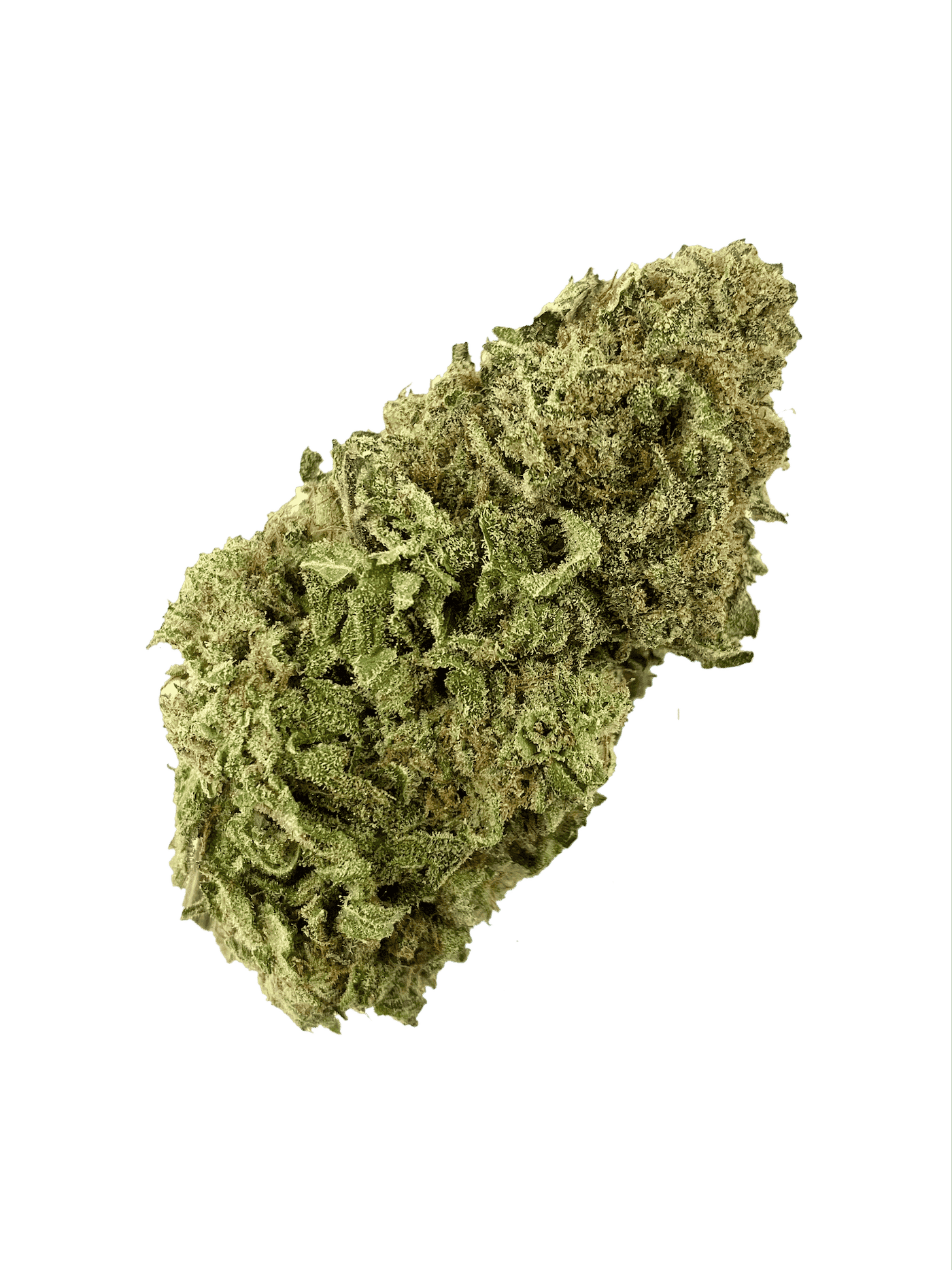 Viper (Oz Special) Hybrid anxiety Viper (Oz Special) Hybrid anxiety