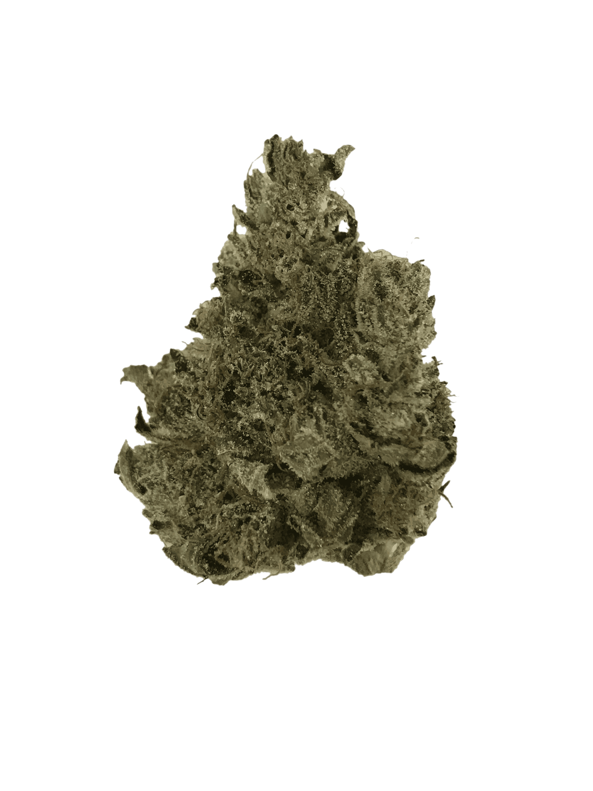 Wagyu Pink Kush (Oz Specials) Indica anxiety Wagyu Pink Kush (Oz Specials) Indica anxiety