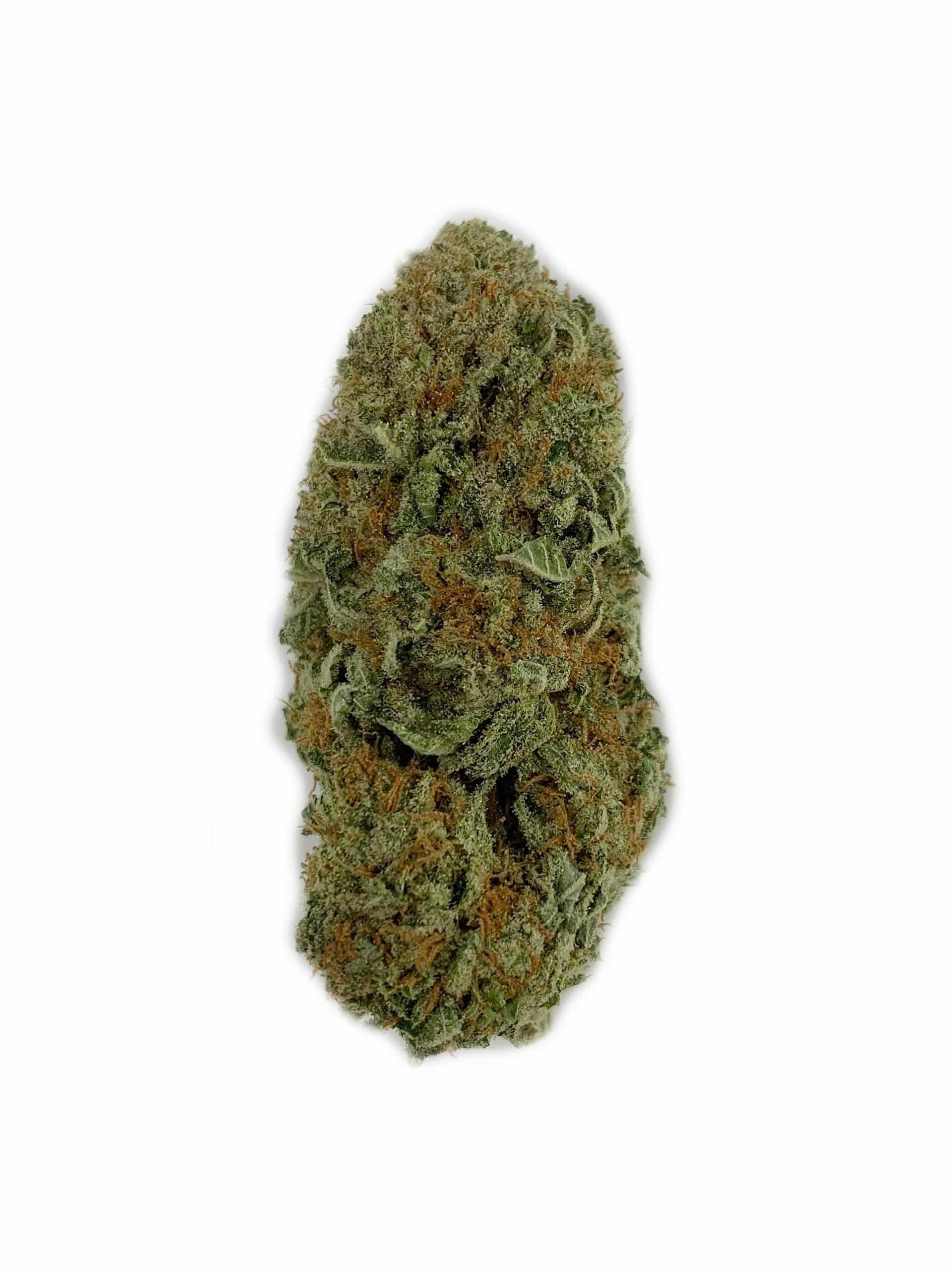 White Castle (Oz Special) Hybrid anxiety White Castle (Oz Special) Hybrid anxiety