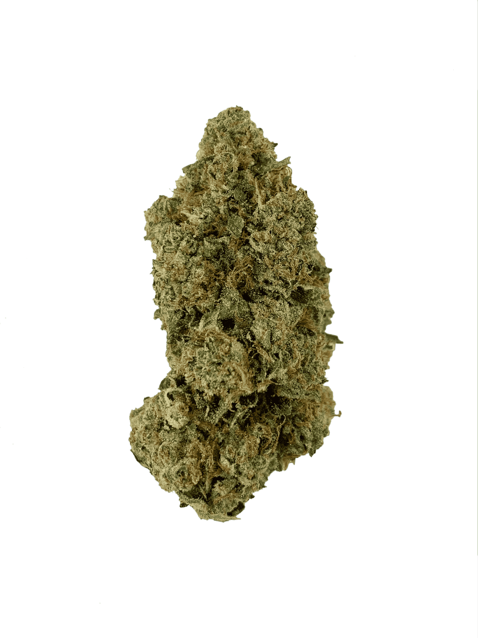 Cherry Vanilla Cookies (Oz Special) Hybrid anxiety Cherry Vanilla Cookies (Oz Special) Hybrid anxiety