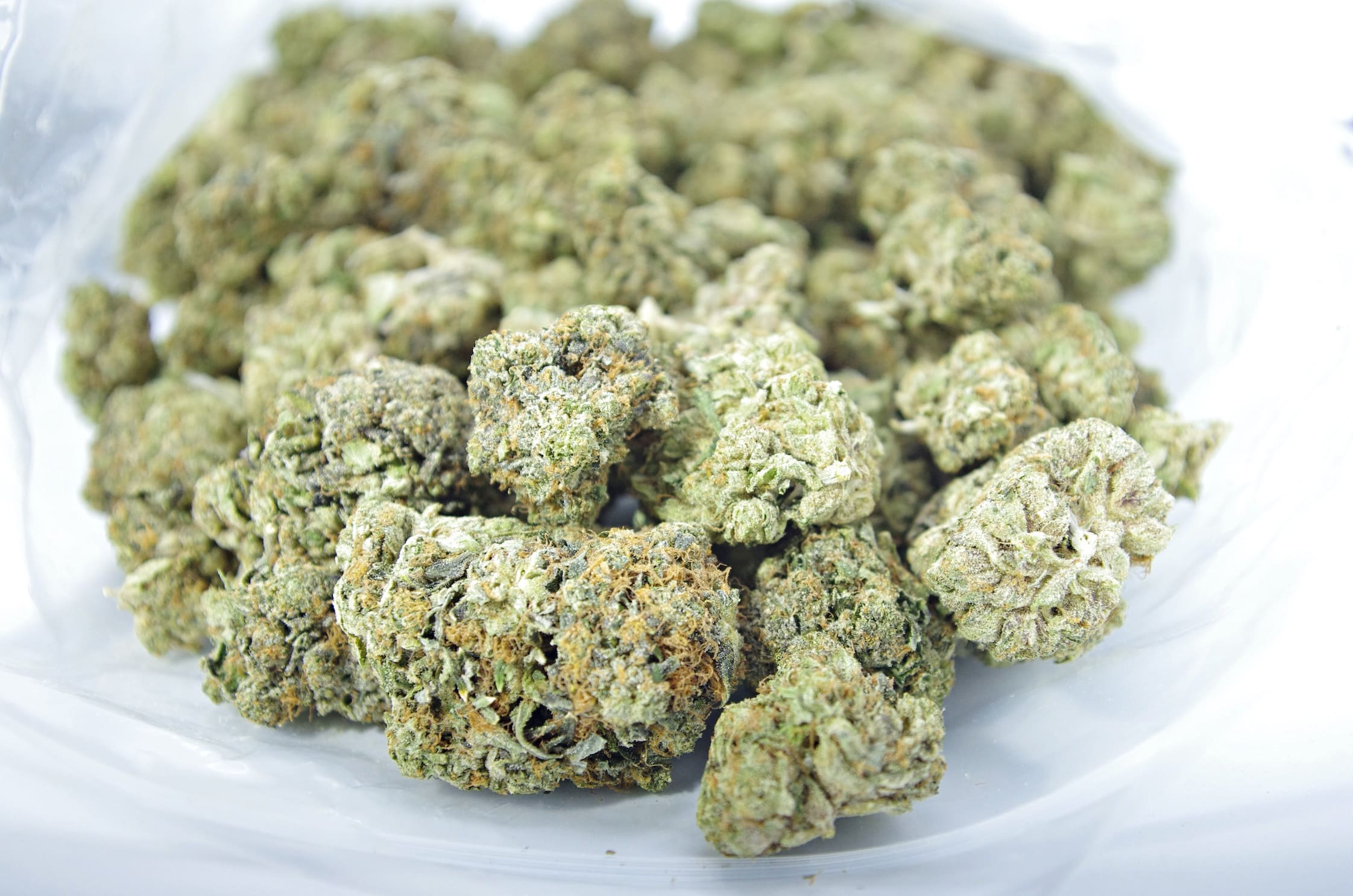 White Shark OG Oz Special Indica anti-anxiety White Shark OG Oz Special Indica anti-anxiety