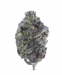 buy black truffle online