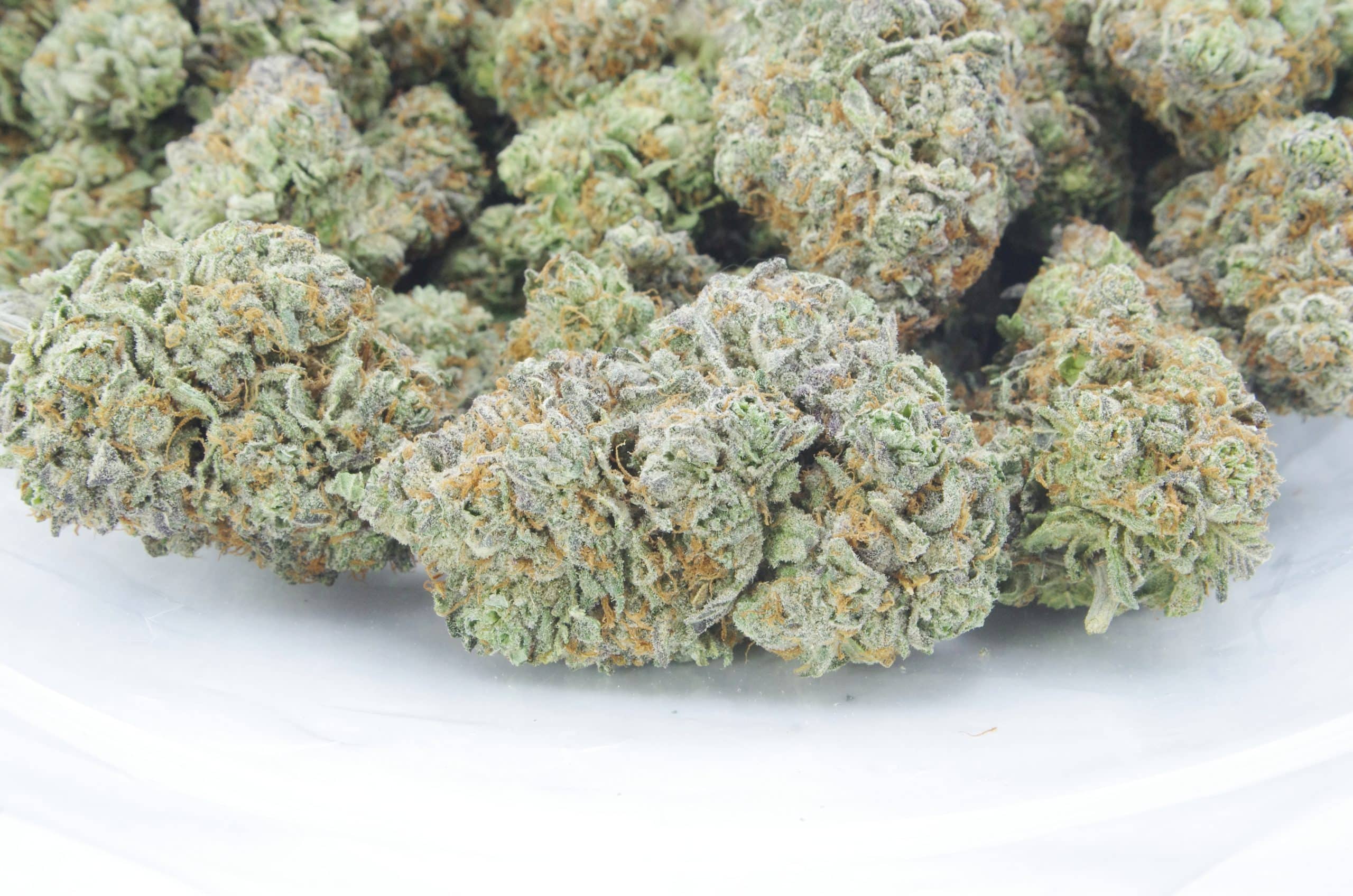 Alien Cookies (Oz Special) All Strains Alien Cookies (Oz Special) All Strains