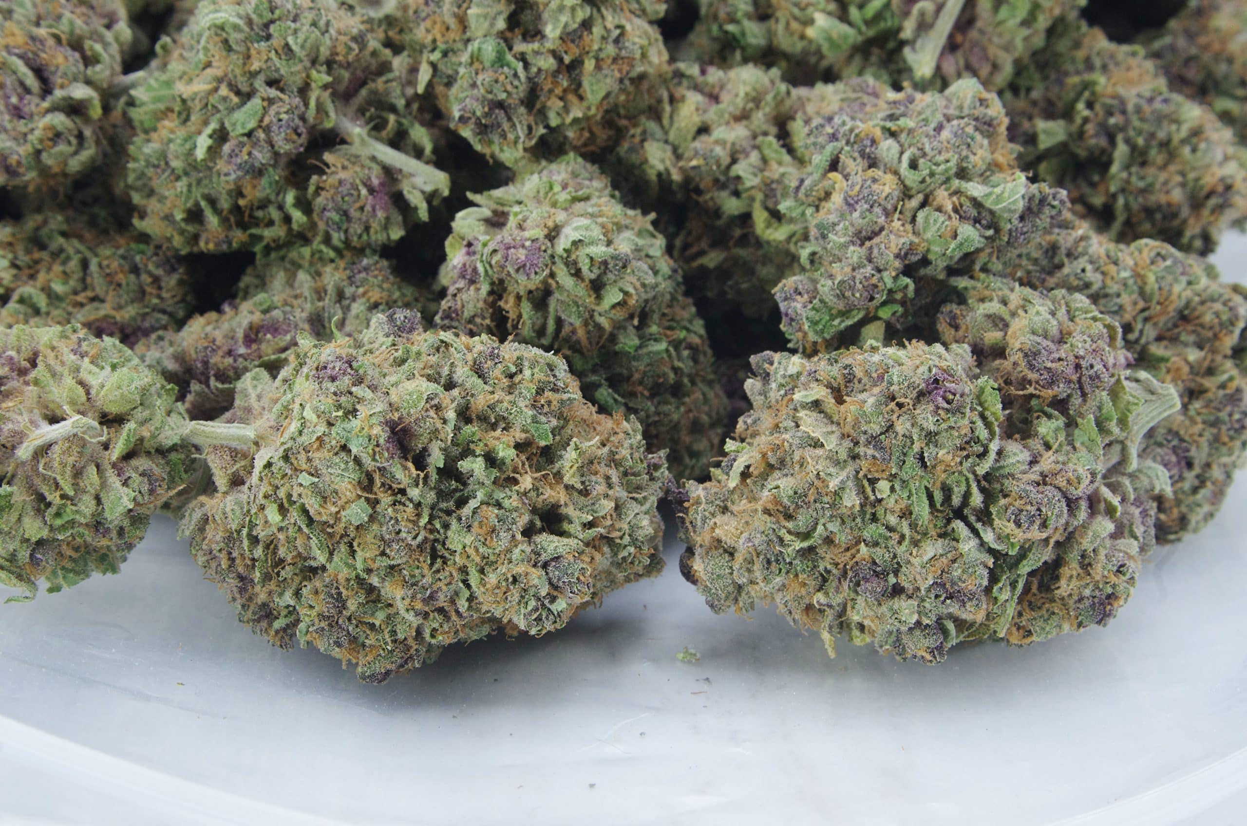 Berry Haze (Oz Special) All Strains anti-anxiety Berry Haze (Oz Special) All Strains anti-anxiety