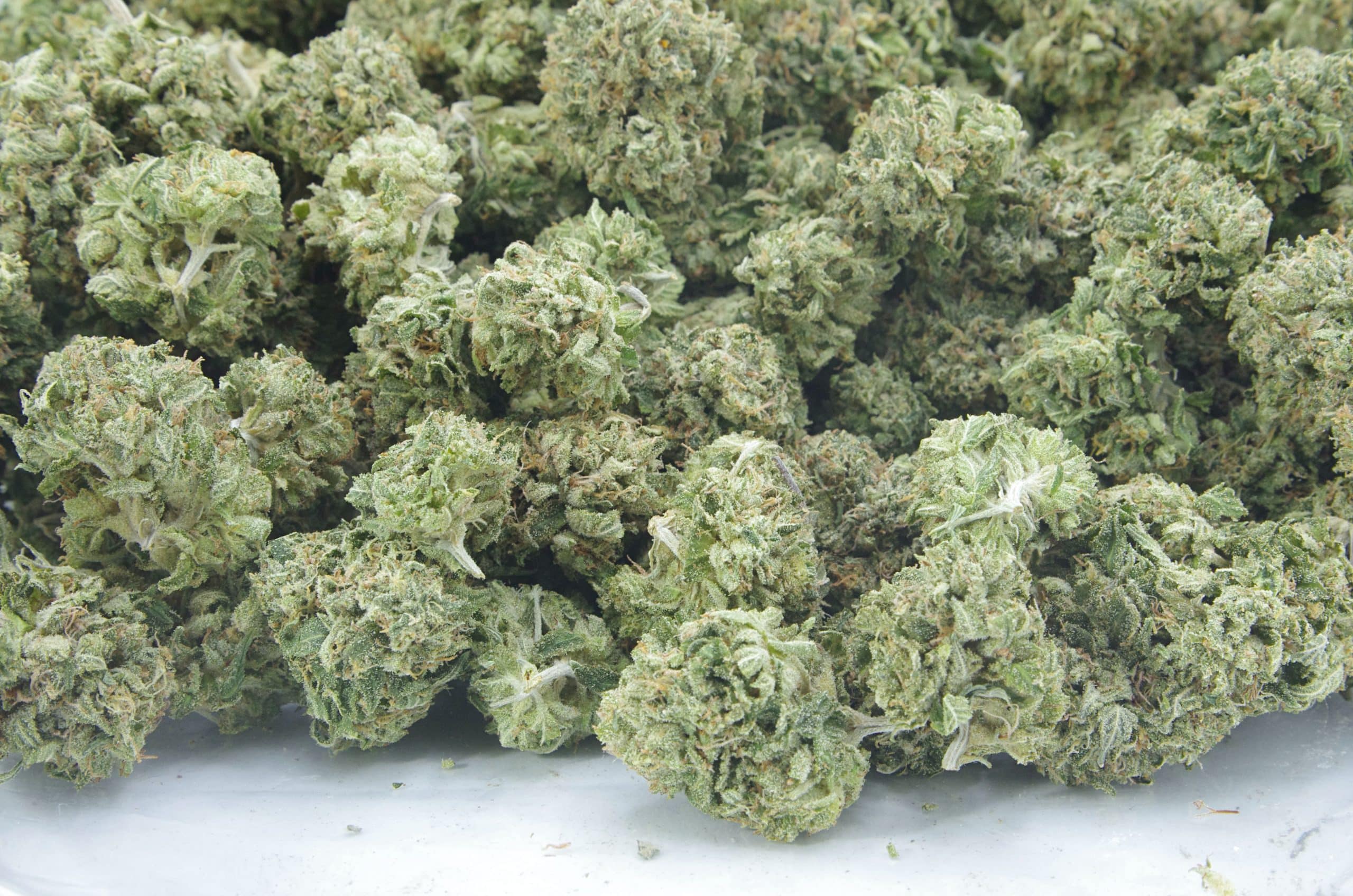 Black Bubba (Oz Special) Indica anxiety Black Bubba (Oz Special) Indica anxiety