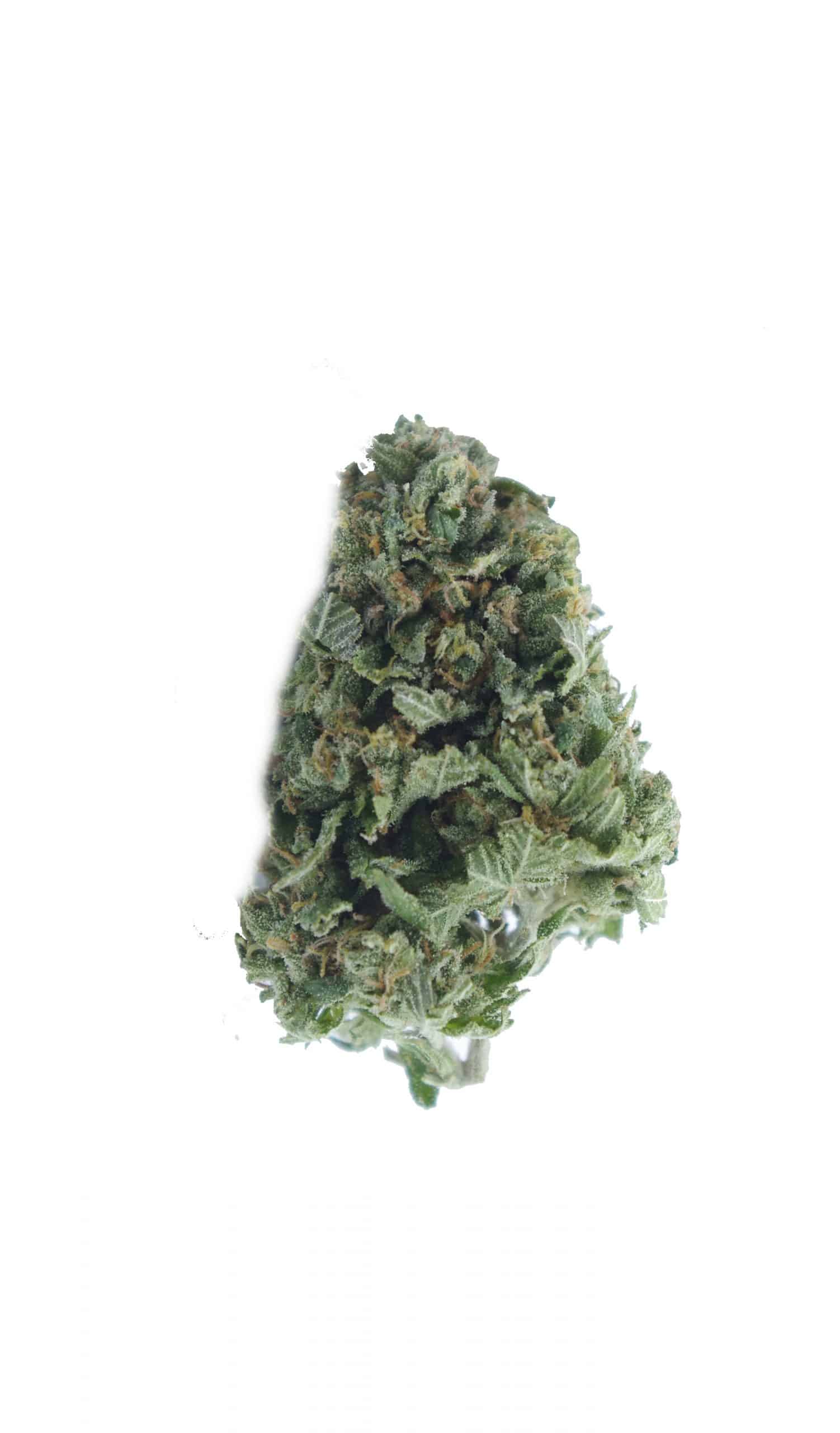 Black Bubba (Oz Special) Indica anxiety Black Bubba (Oz Special) Indica anxiety