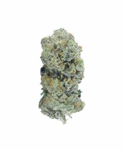 buy black bubba online