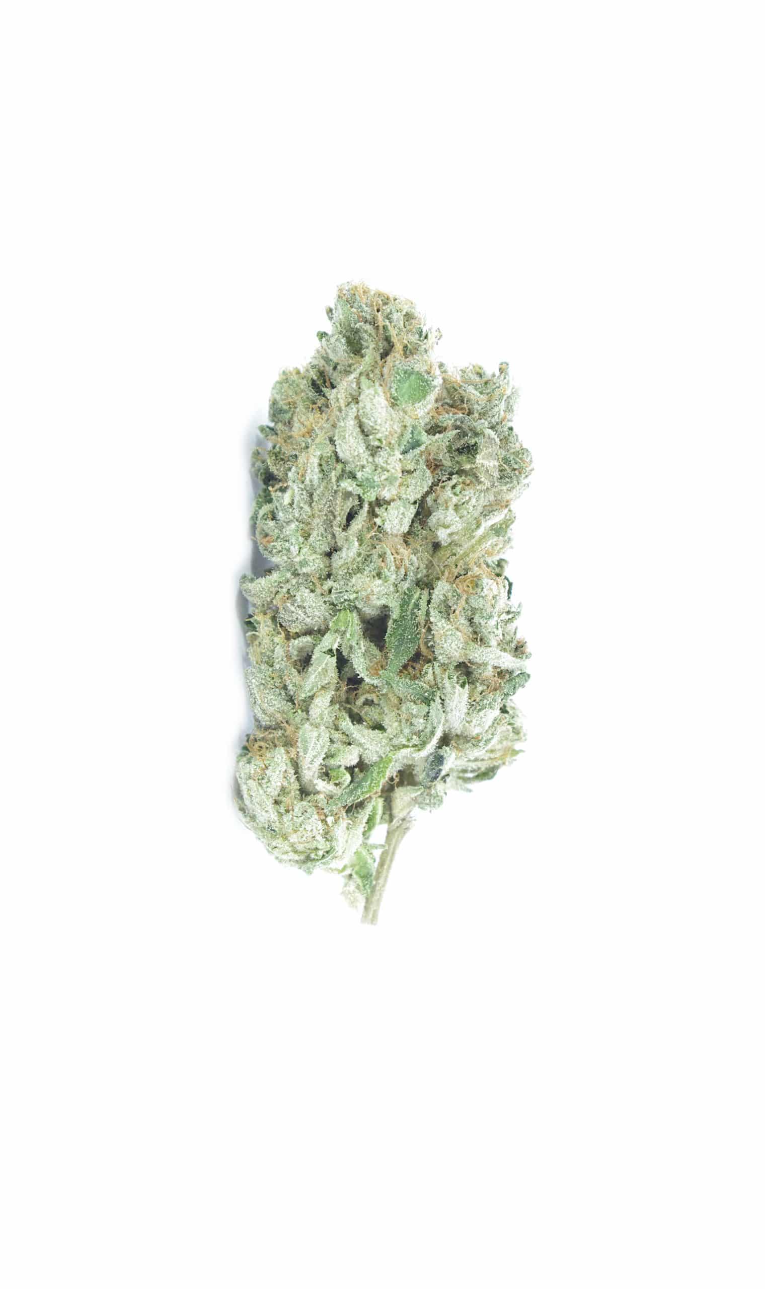Black Gas (Oz Special) Indica anti-anxiety Black Gas (Oz Special) Indica anti-anxiety