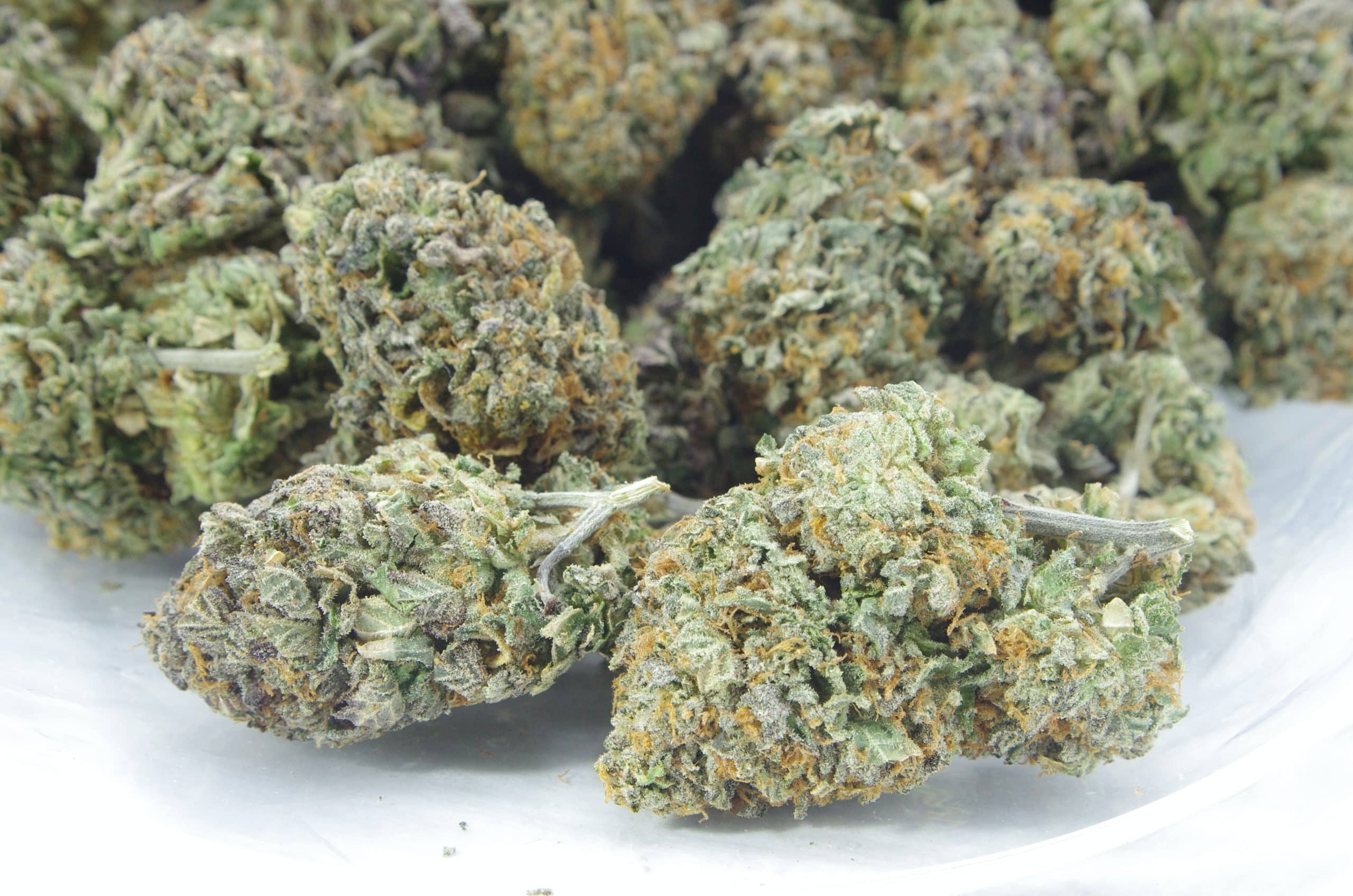 Black Mamba (Oz Special) All Strains anti-anxiety Black Mamba (Oz Special) All Strains anti-anxiety