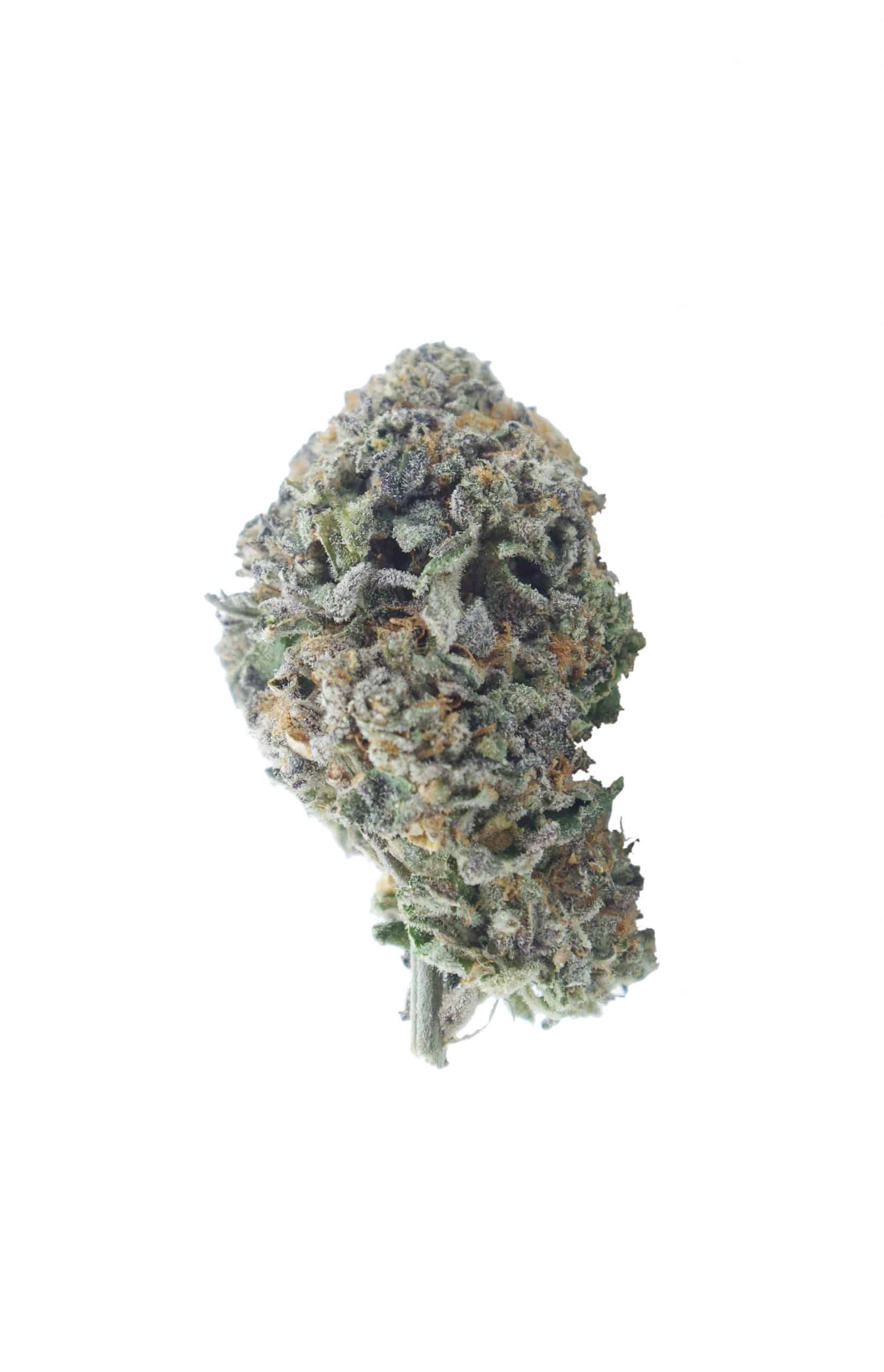 Black Mamba (Oz Special) All Strains anti-anxiety Black Mamba (Oz Special) All Strains anti-anxiety