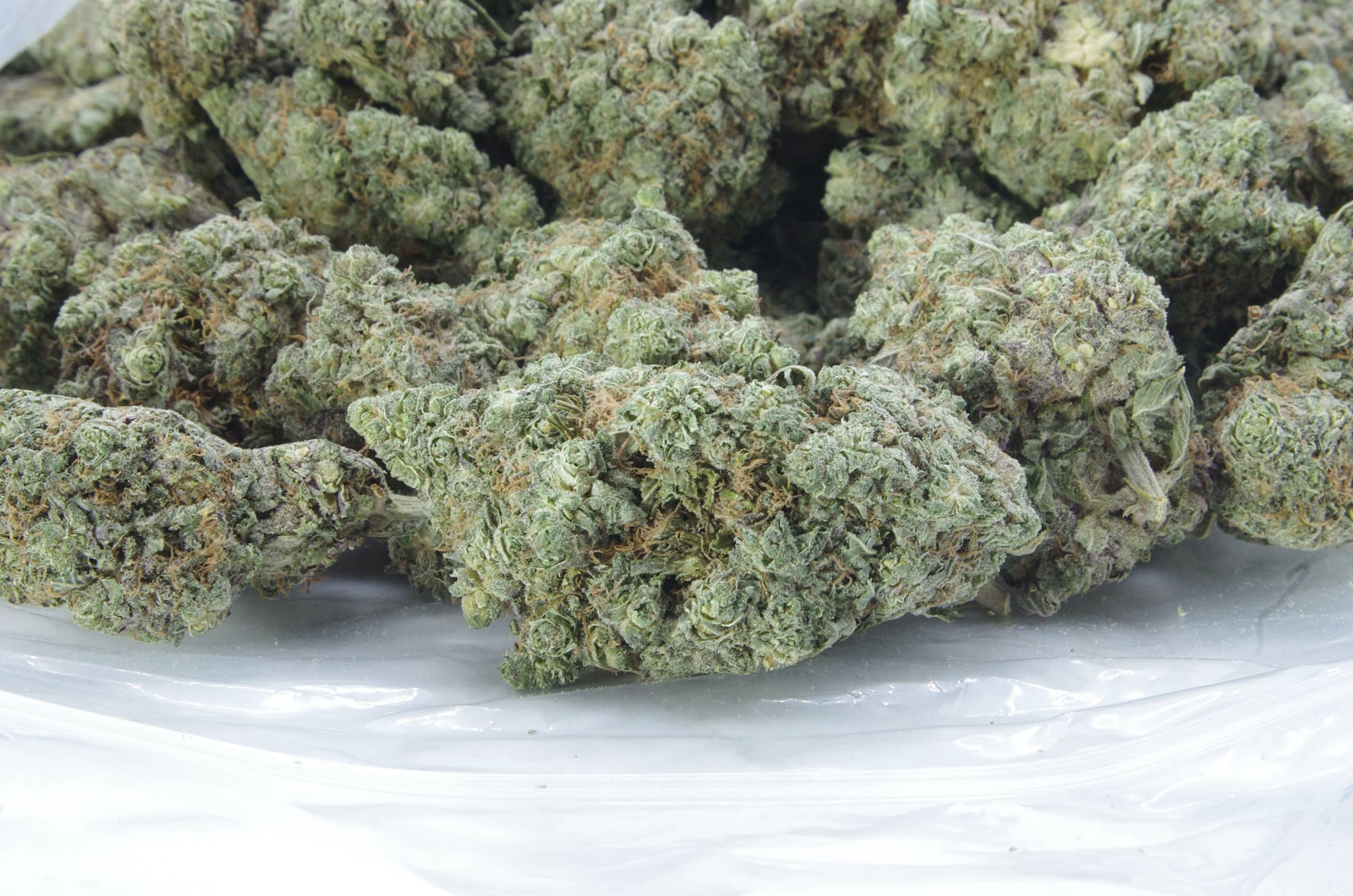 Black Widow All Strains anti-anxiety Black Widow All Strains anti-anxiety
