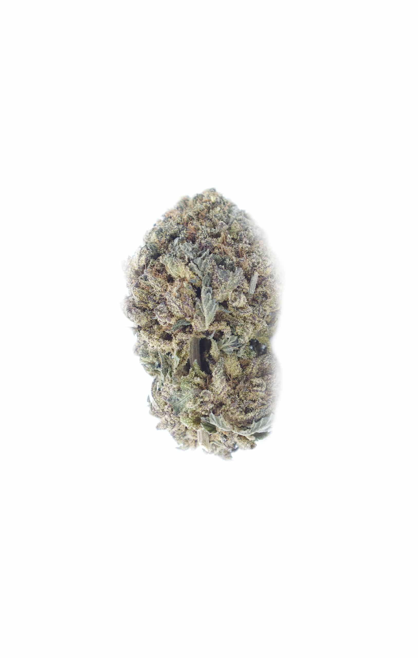 Blackberry Kush (Oz Special) Indica anti-anxiety Blackberry Kush (Oz Special) Indica anti-anxiety