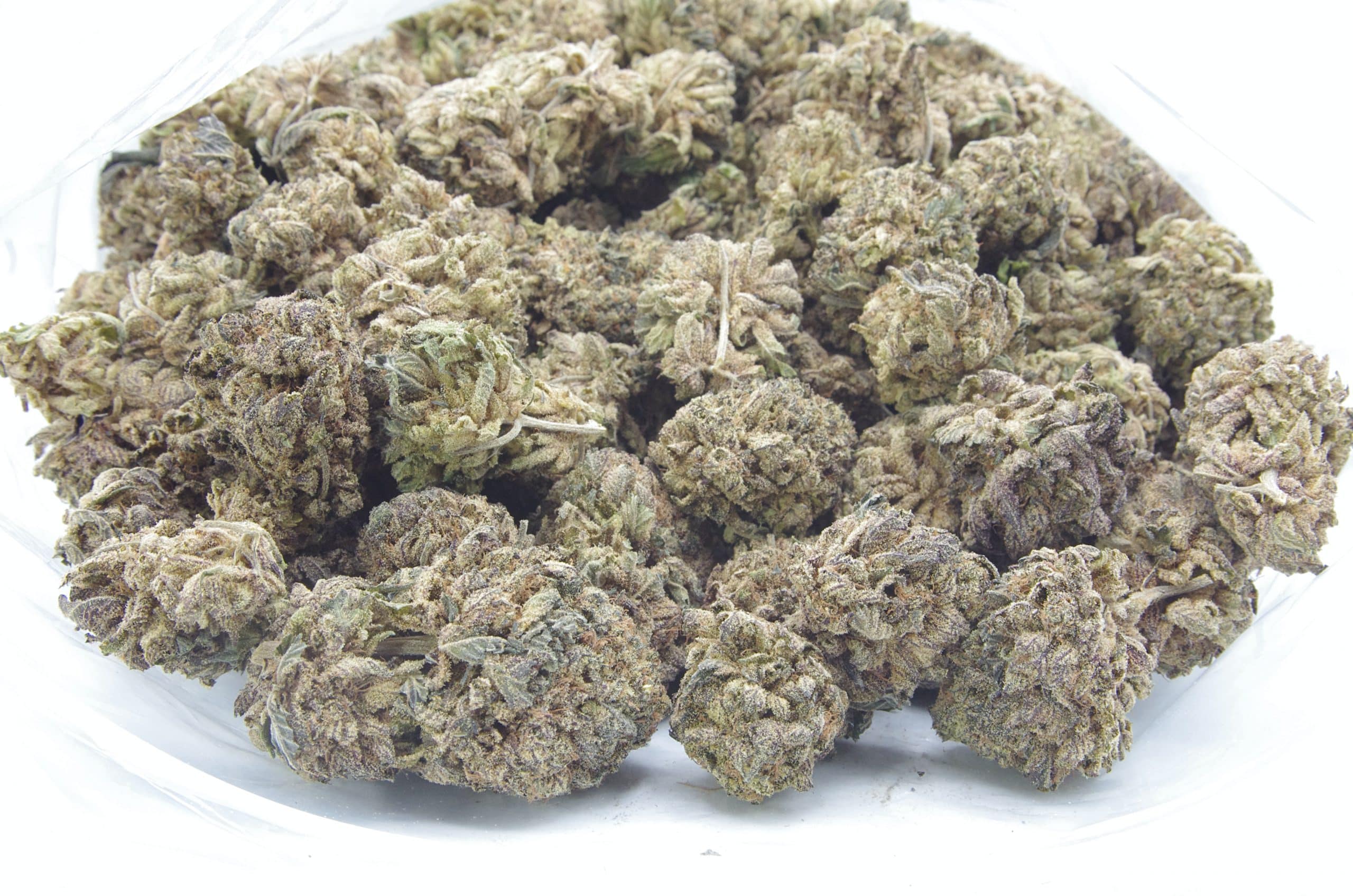 Blackberry Kush (Oz Special) Indica anti-anxiety Blackberry Kush (Oz Special) Indica anti-anxiety